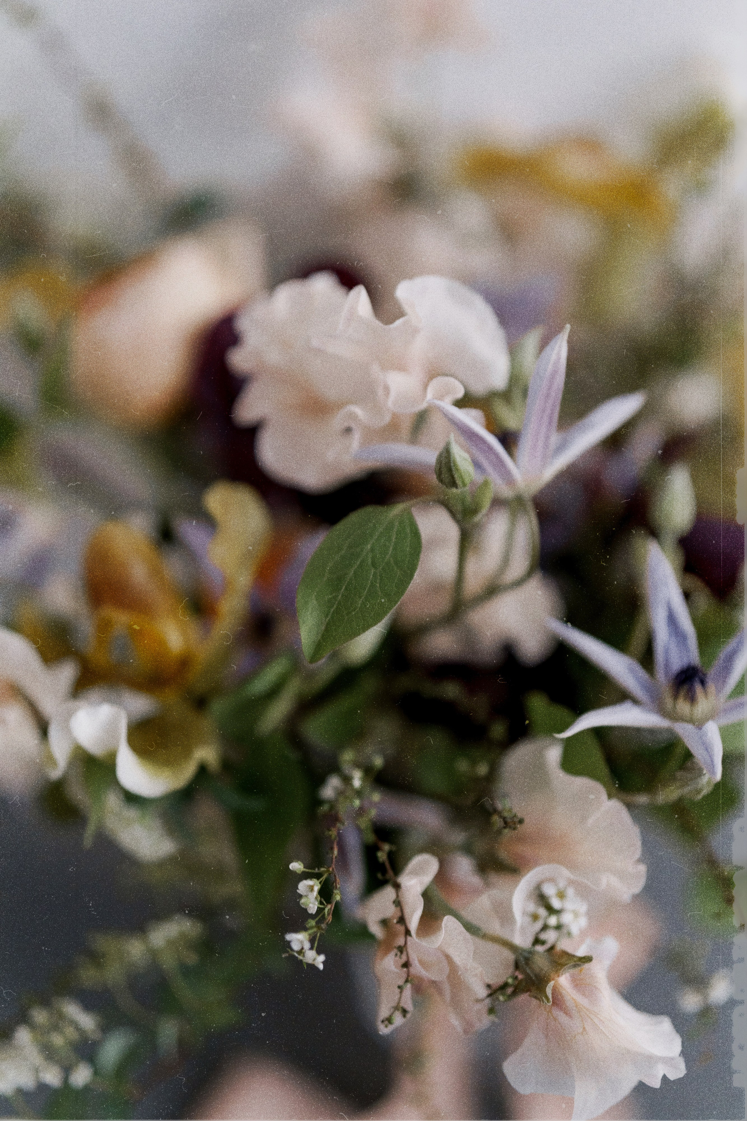 Greta and Sebastian’s Fashion-Forward Wedding Shoot. Wedding photographer and videographer New York | New Jersey