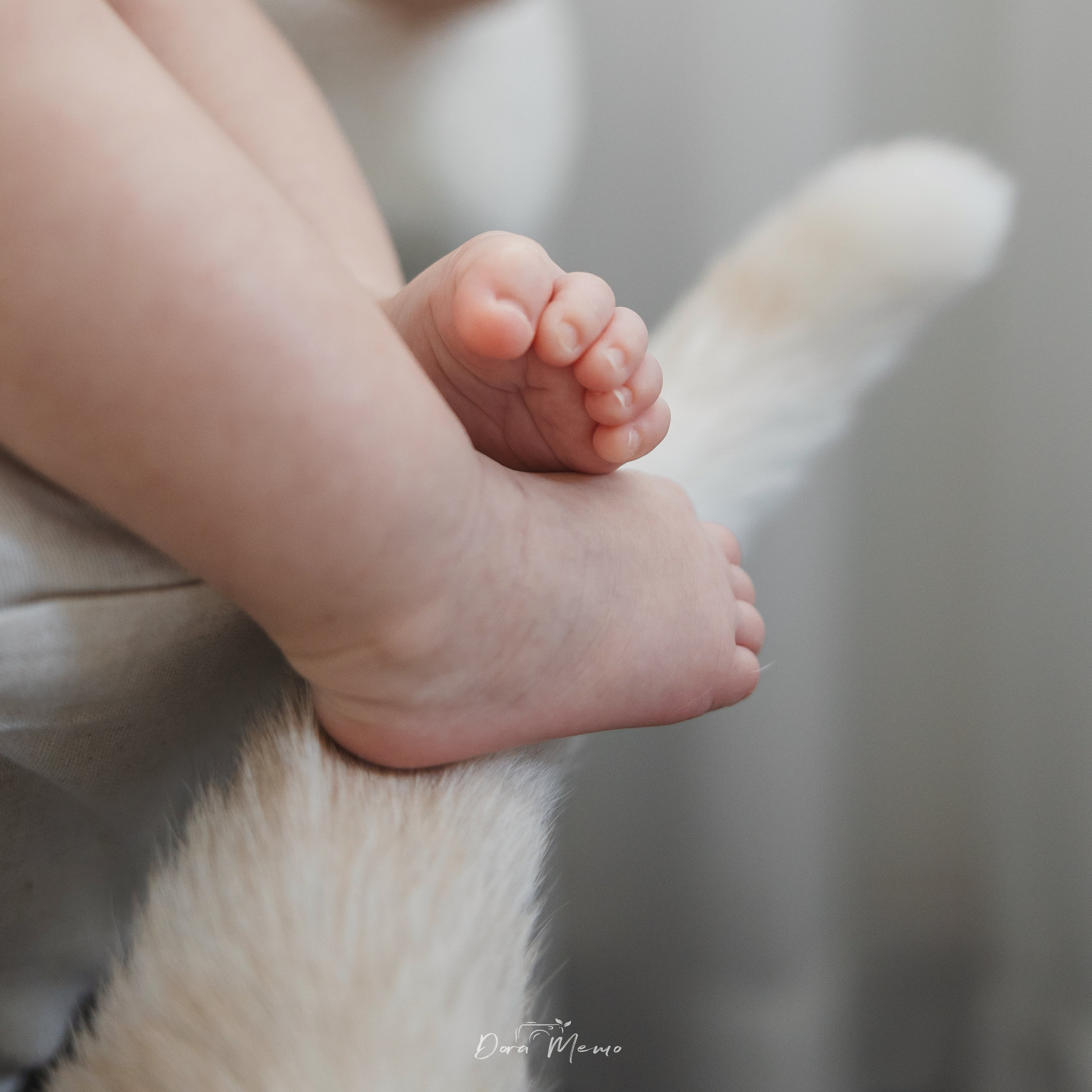  A baby's small foot rests softly on the family cat's tail, a quiet moment of trust