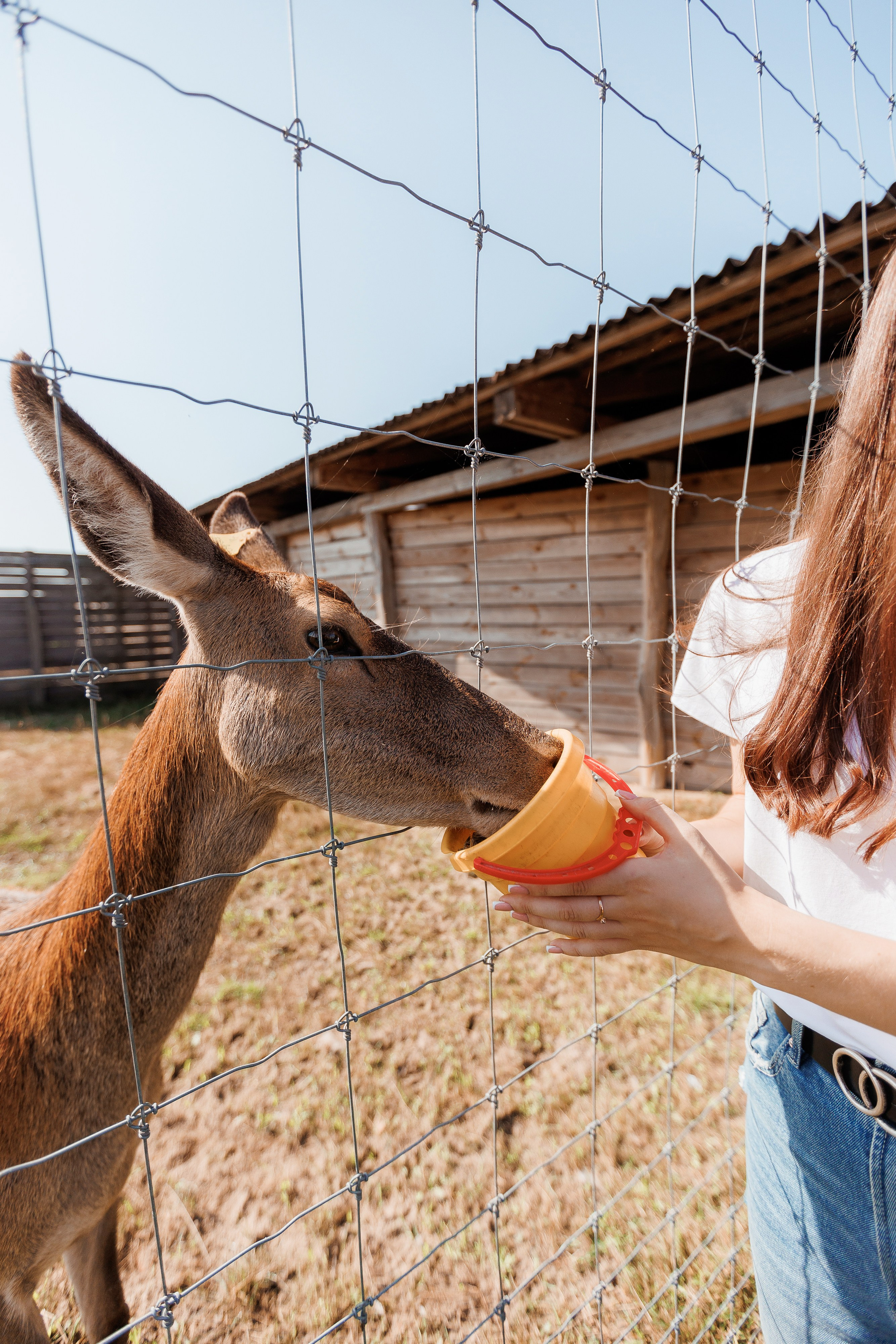 Екопарк Аміла. Ірина Терещук