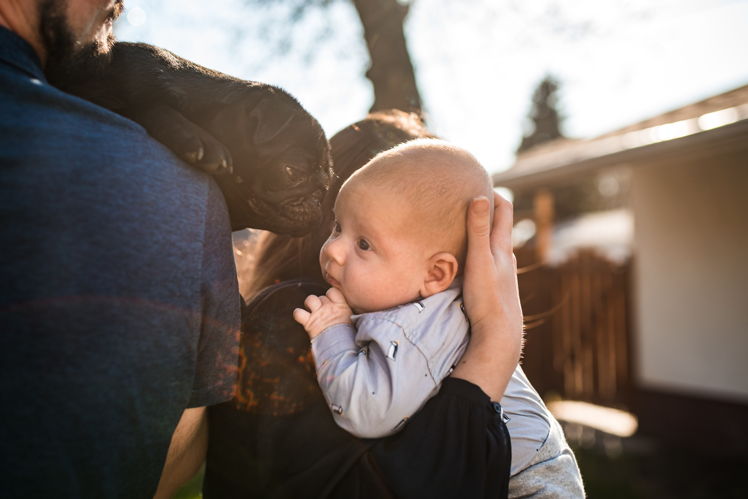 Sessões de Acompanhamento | Auê Fotografia Juiz de Fora  Juiz de Fora e Belo Horizonte. Auê | Fotografia Infantil e de Família em Juiz de Fora — Myriani Maganin