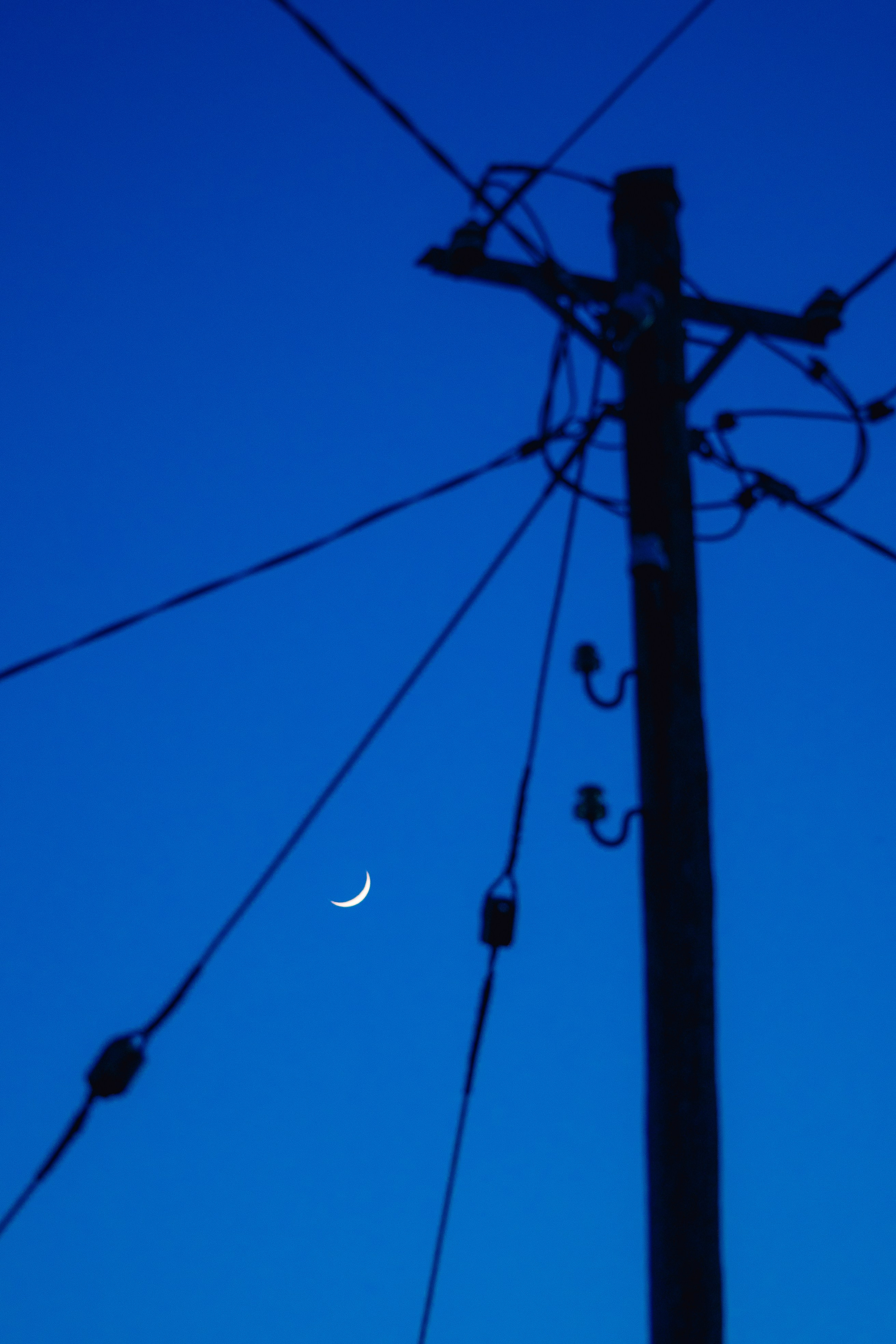 Работы Марии Шер. Sher.SCHOOL