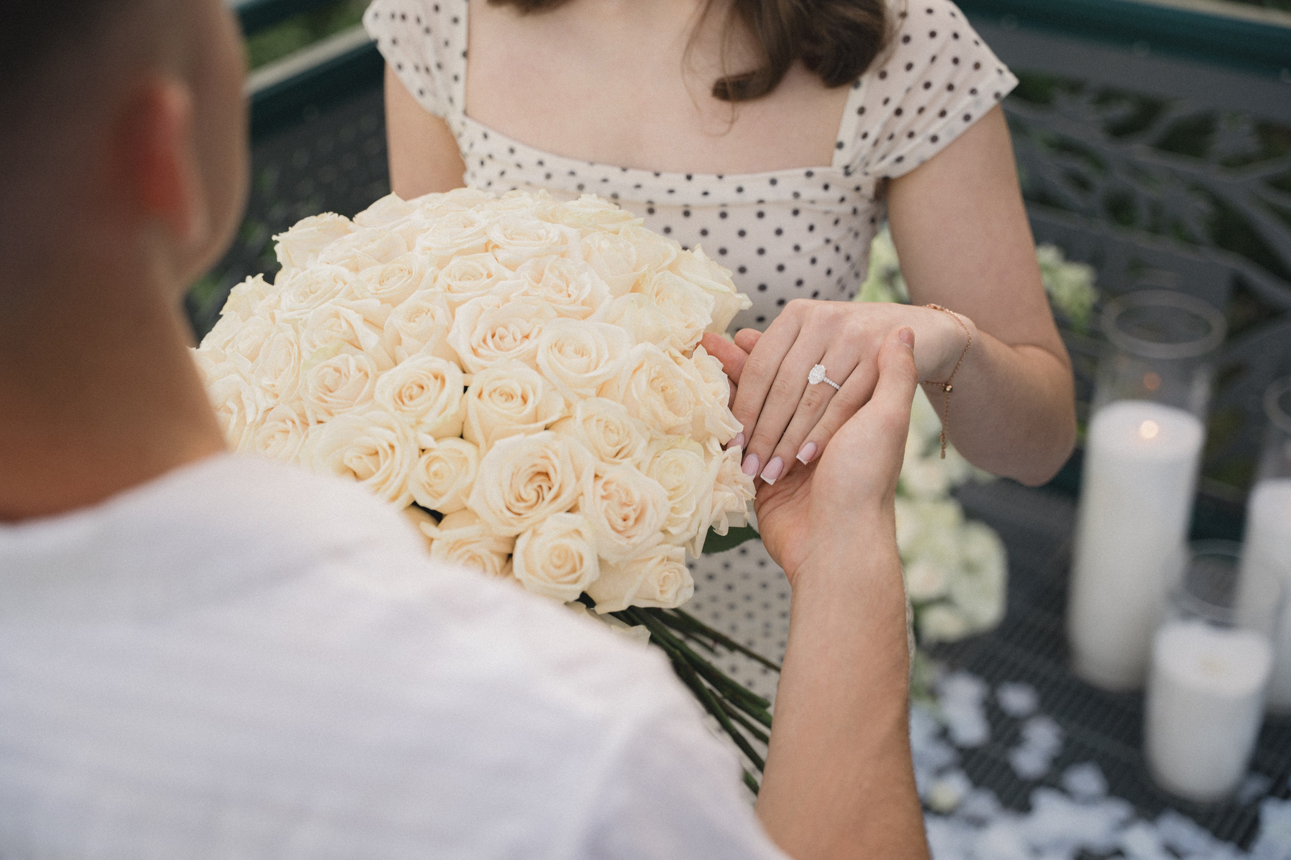 Ilya and Olena proposal. Photographer in Washington Sophia D
