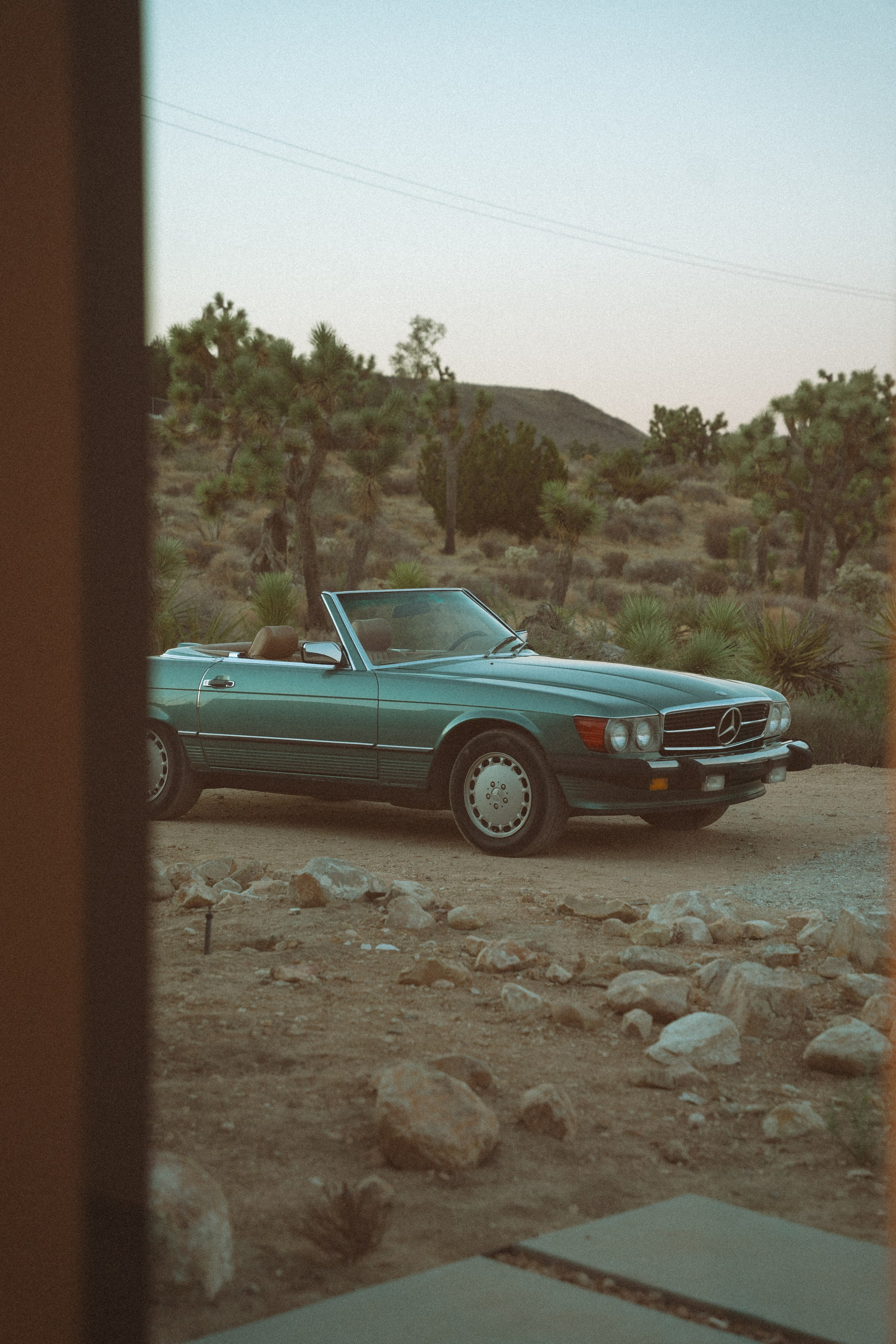 Joshua Tree wedding. Joshua tree elopement. Wedding for 2. Wedding photographer Joshua Tree. Elopement photographer in Joshua Tree. Couples photographer in Joshua Tree. Elopement in Joshua Tree