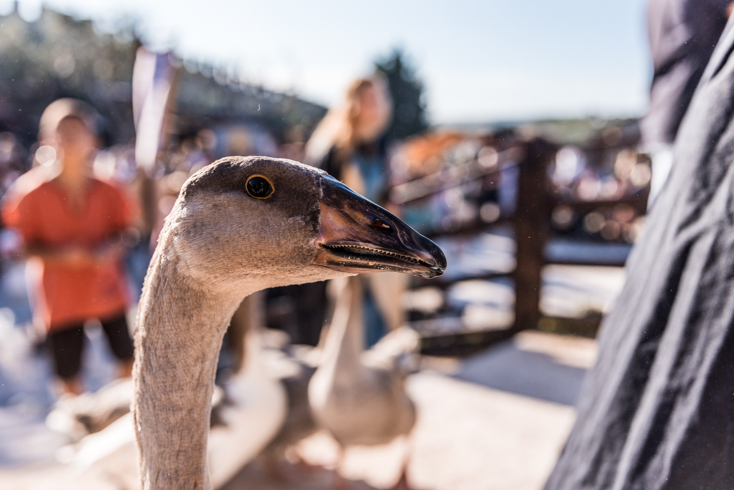 Luxury Event Photography | Beyond Creative. Beyond Creative 20 | Cinematic Video & Photography Production Lisbon & Algarve