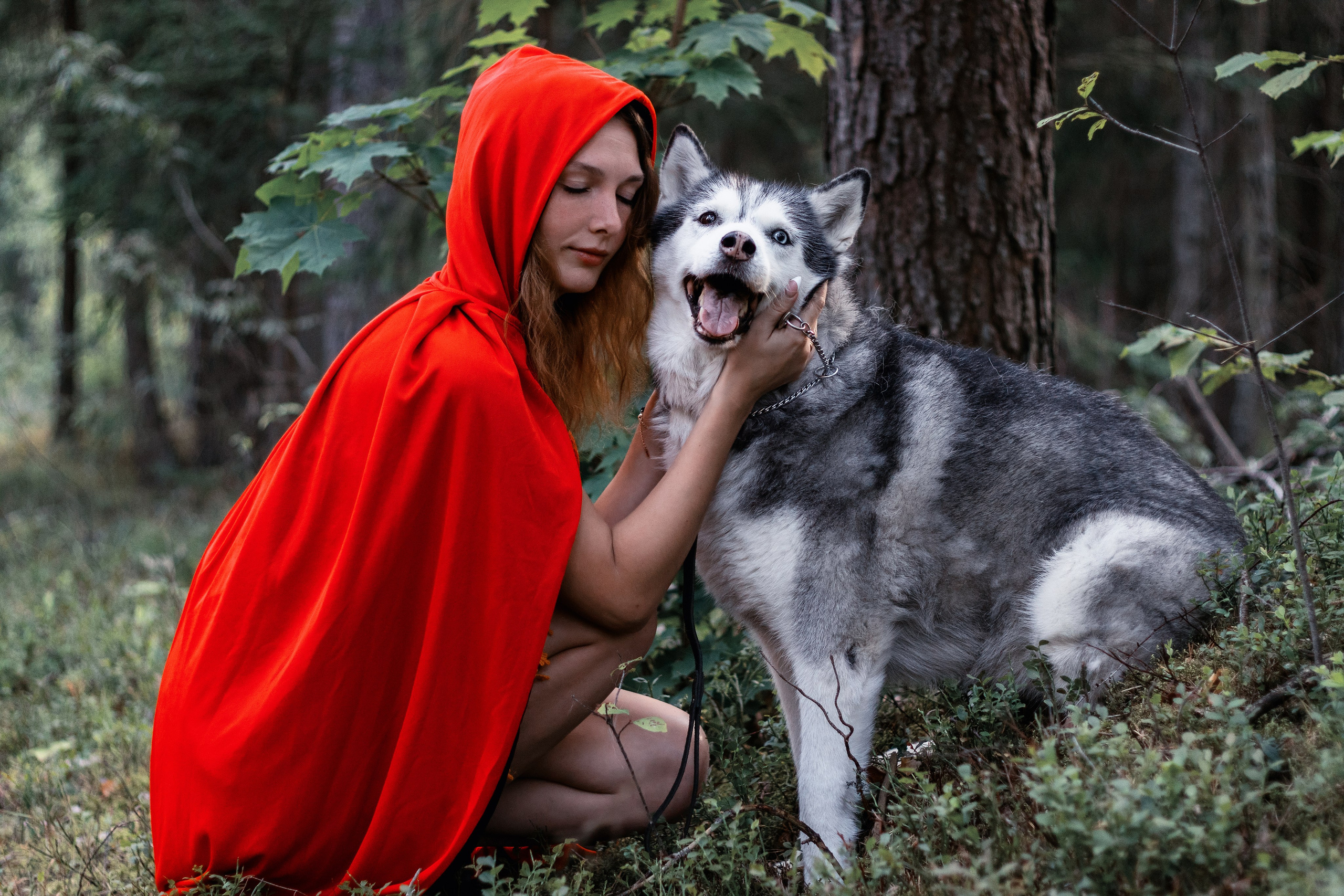 Фотосессия красная шапочка и волк