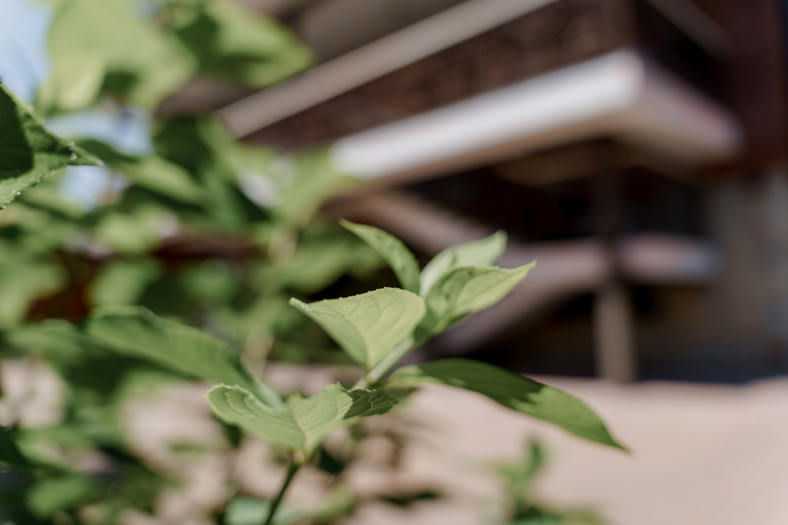 Артур и Анастасия. Orange County Wedding Photographer & Videographer | Candid & Timeless Wedding Photo + Video | Italiantsev