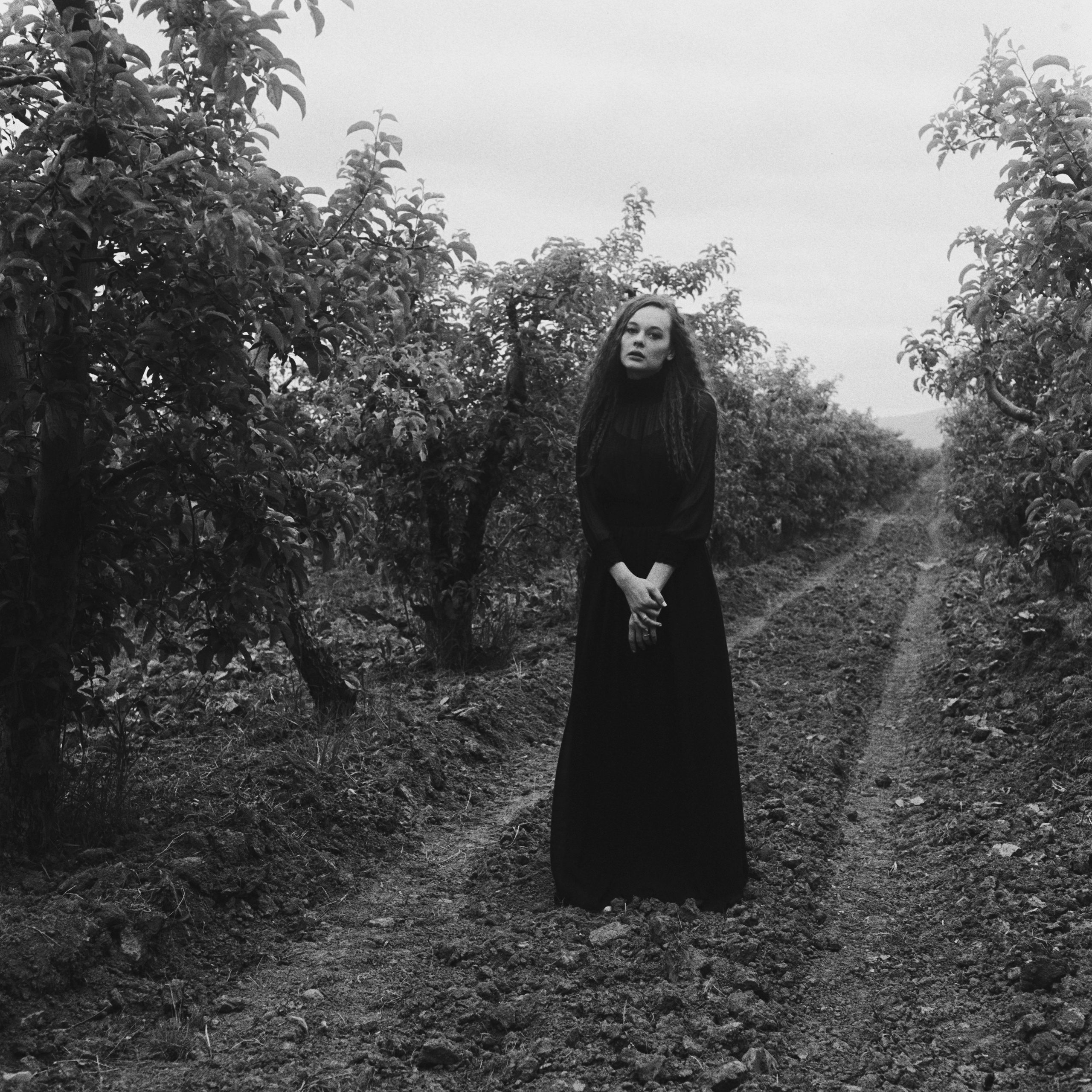 Film. Коммерческий фотограф в Азербайджане Бессонова Анфиса