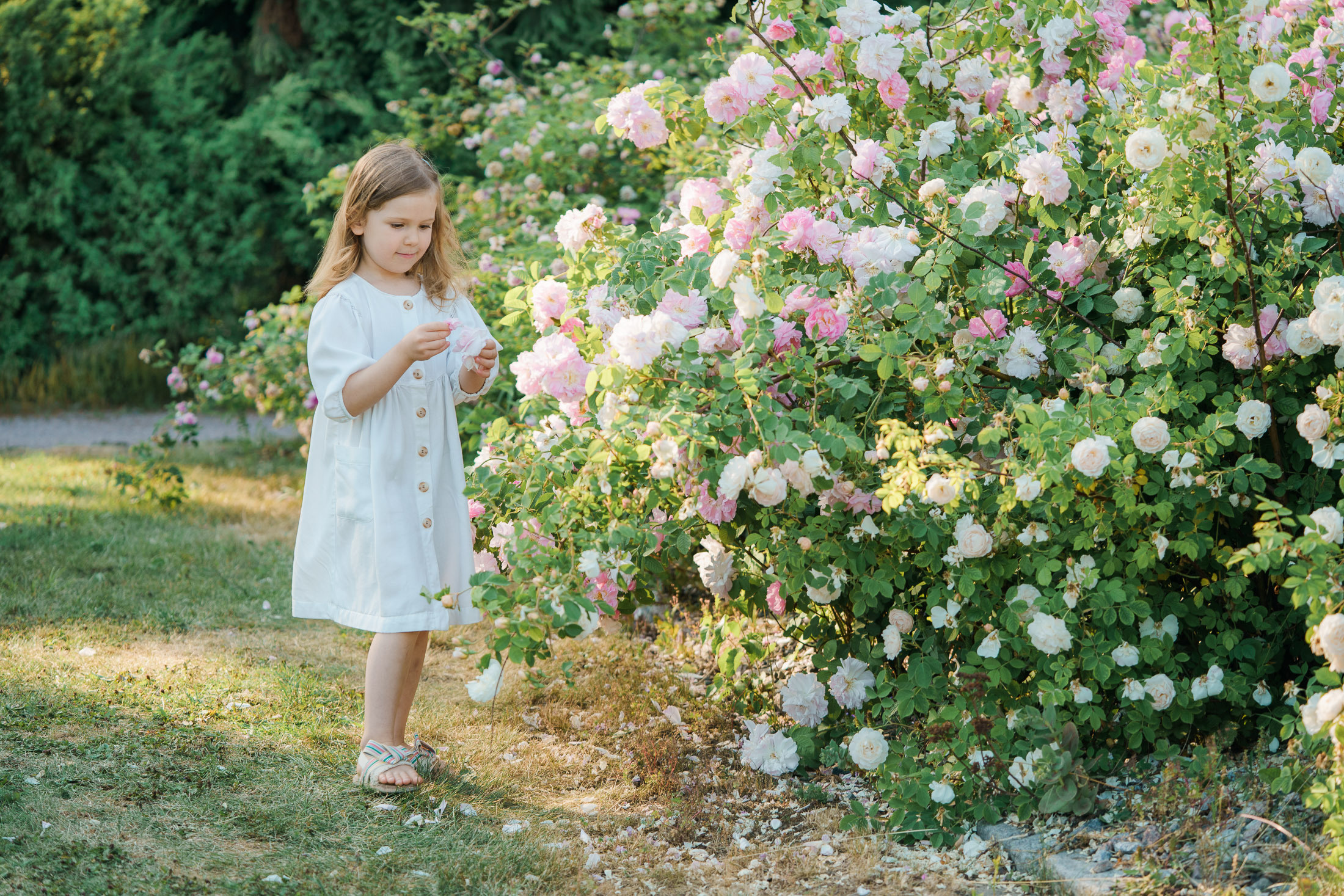 Minikuvaukset kirsikkapuistossa toukokuussa 2023