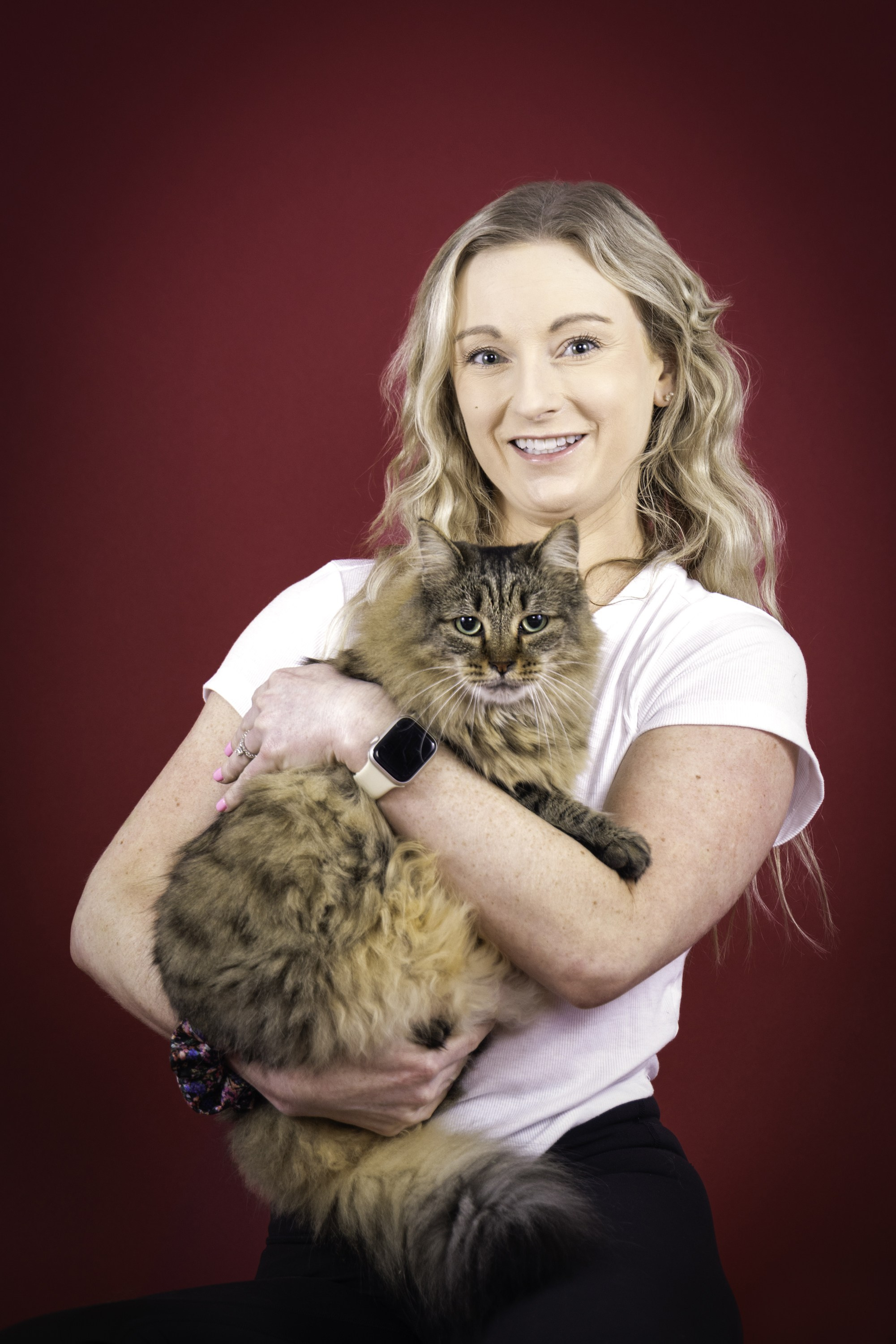 Animal de Compagnie. Studioplaza8