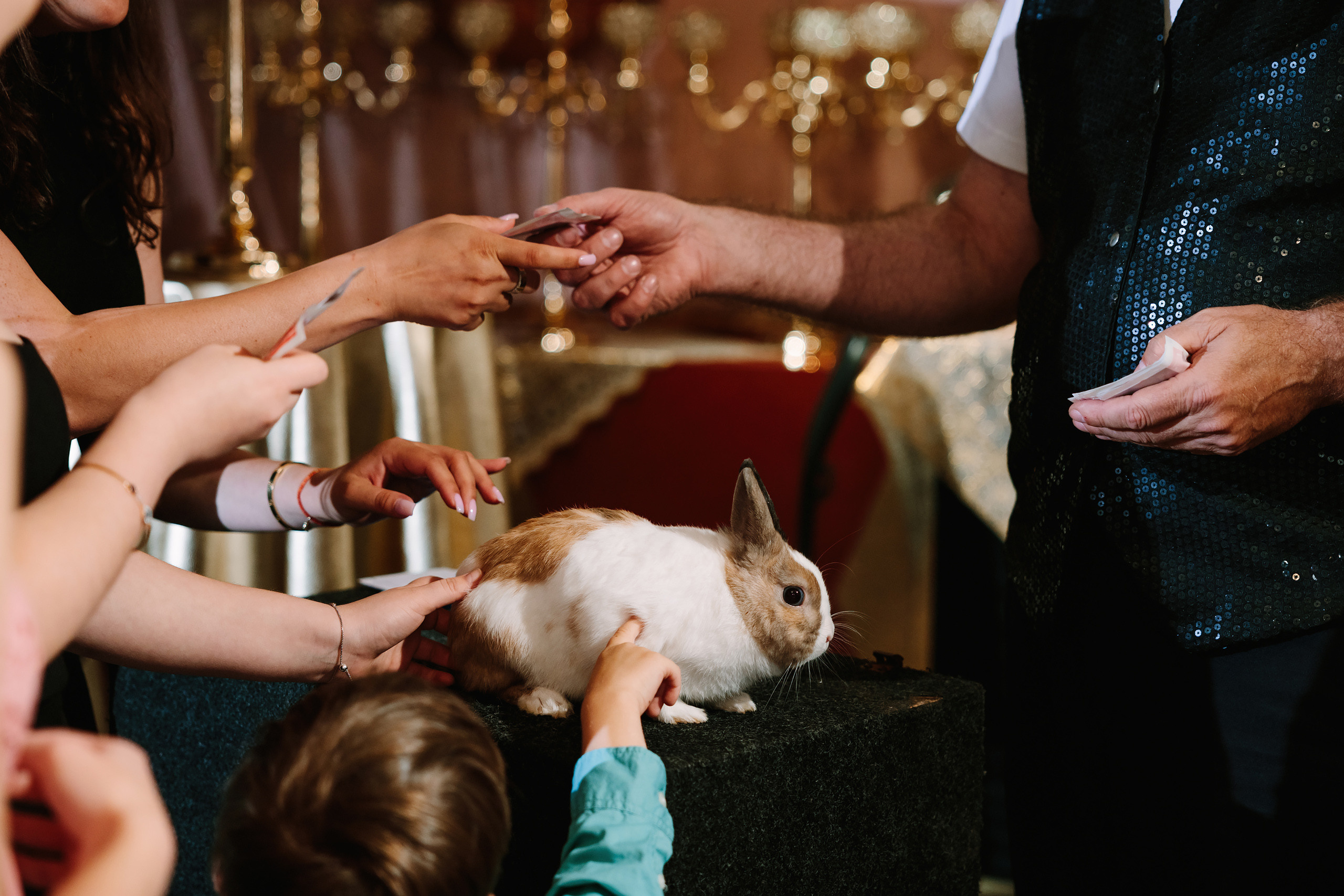 07.10.2022 First birthday. Wedding family event photographer in Chicago Nick Yushevich