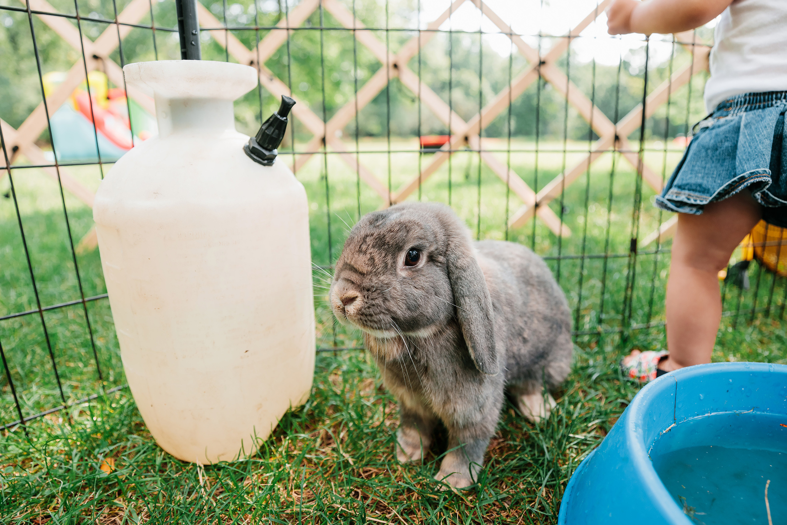 07.23.2022 First birthday. Wedding family event photographer in Chicago Nick Yushevich