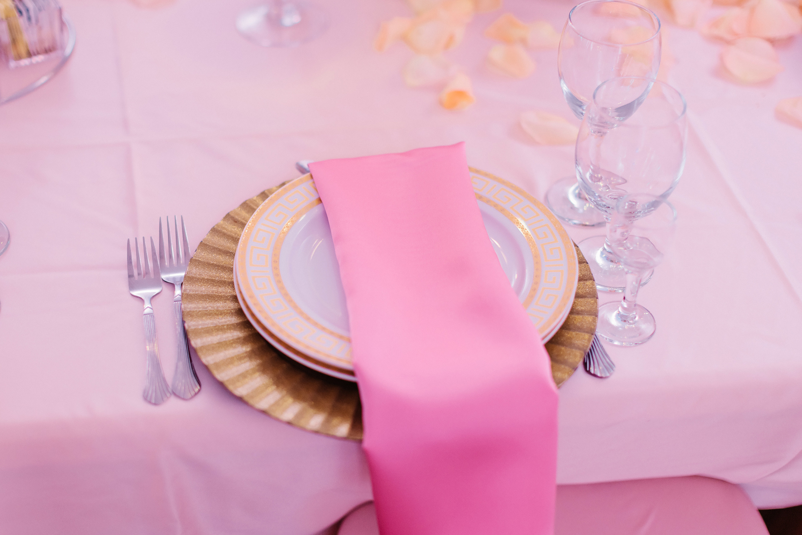 06.11.2022 Anniversary Party. Wedding family event photographer in Chicago Nick Yushevich