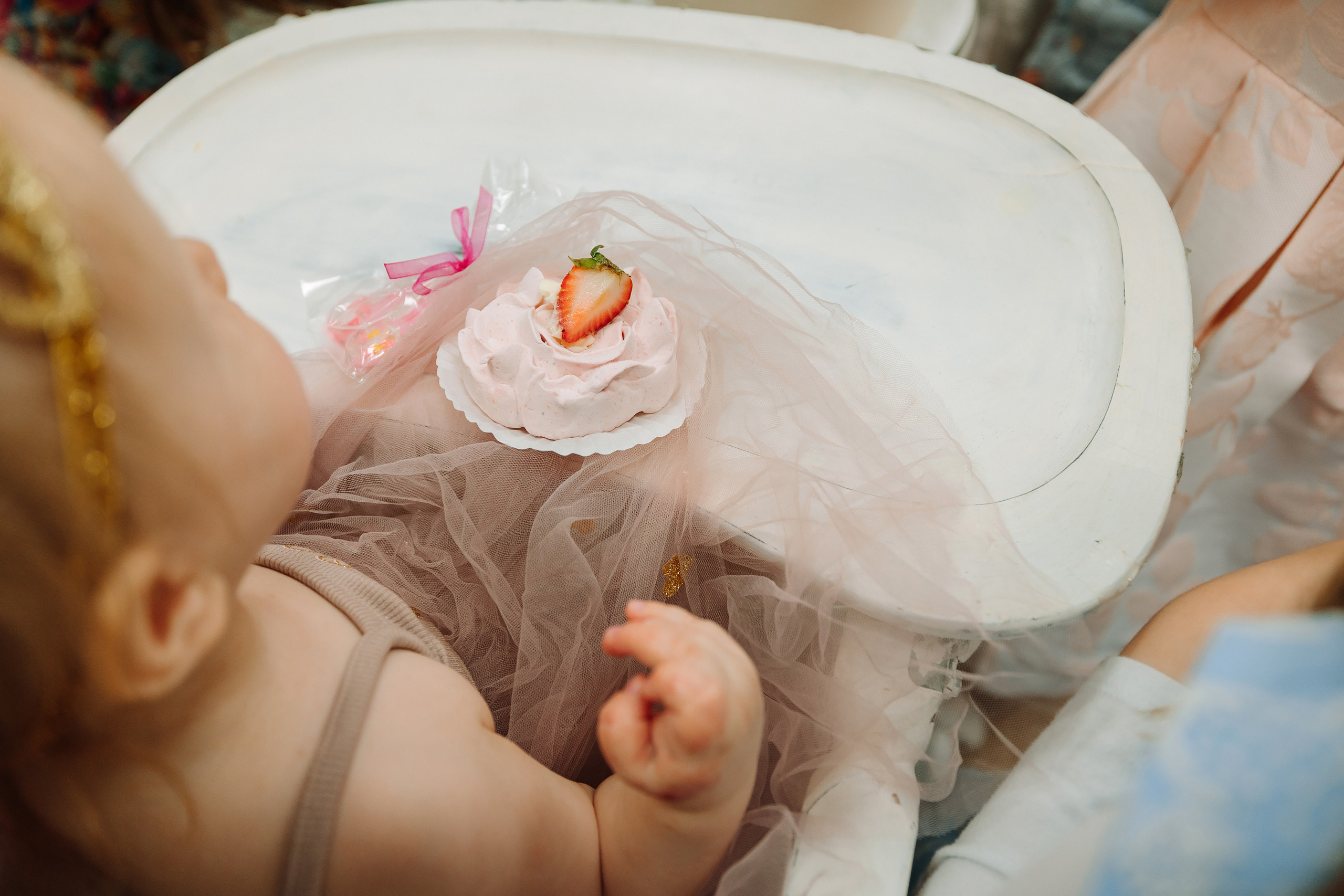05.08.2022 First birthday. Wedding family event photographer in Chicago Nick Yushevich