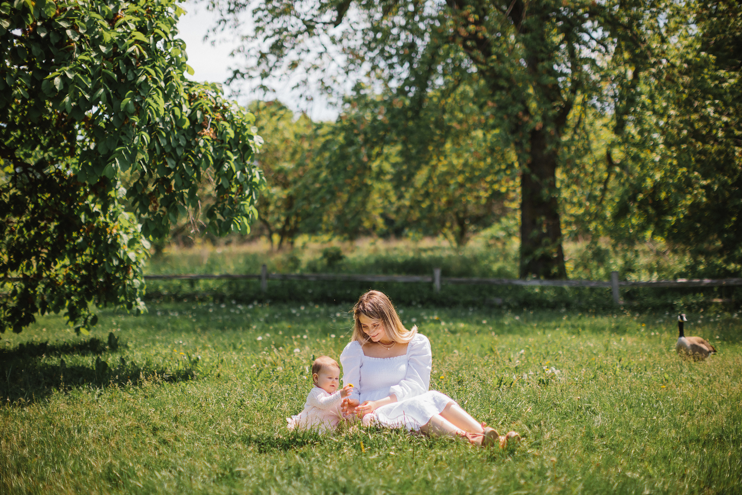 28.05.22 Family Photoshoot and Christening. Wedding family event photographer in Chicago Nick Yushevich