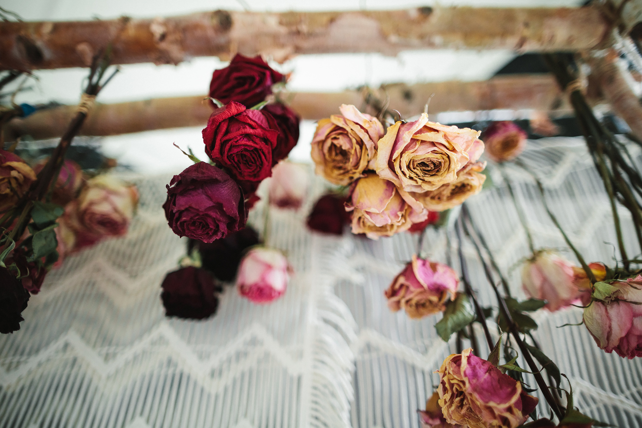 Vasilii & Samantha 04.30.2022. Wedding family event photographer in Chicago Nick Yushevich