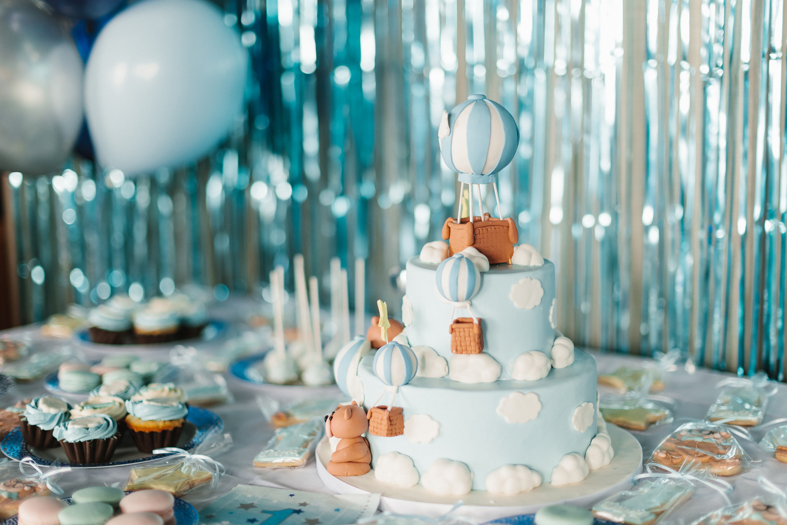 06.11.2022 First birthday. Wedding family event photographer in Chicago Nick Yushevich