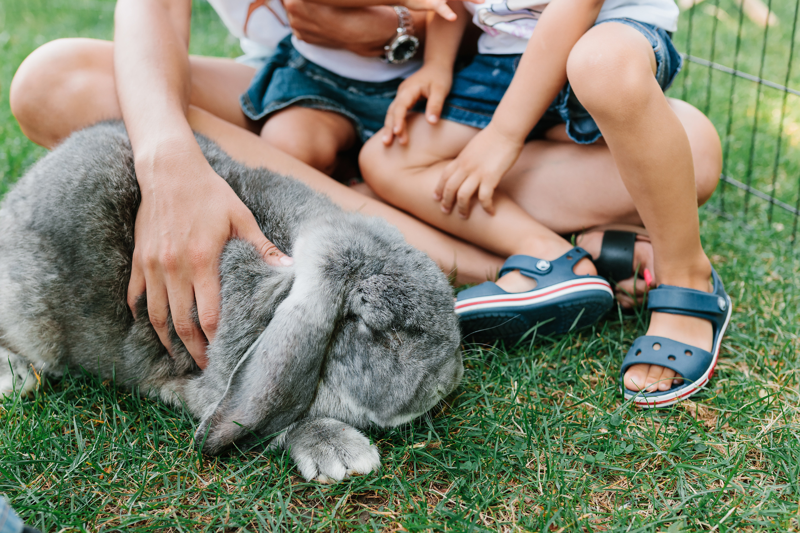 07.23.2022 First birthday. Wedding family event photographer in Chicago Nick Yushevich