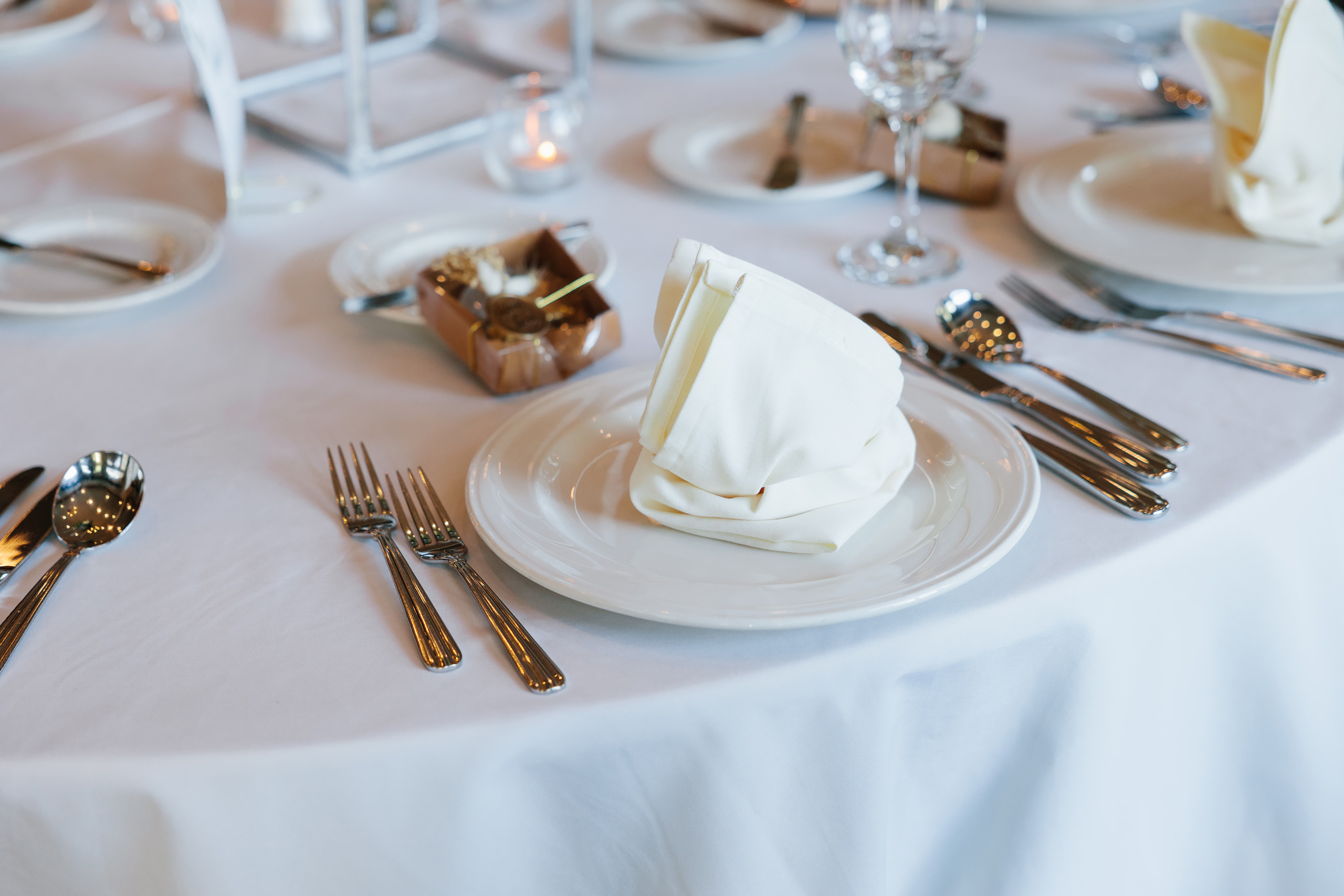 03.06.22 Christening Party. Wedding family event photographer in Chicago Nick Yushevich