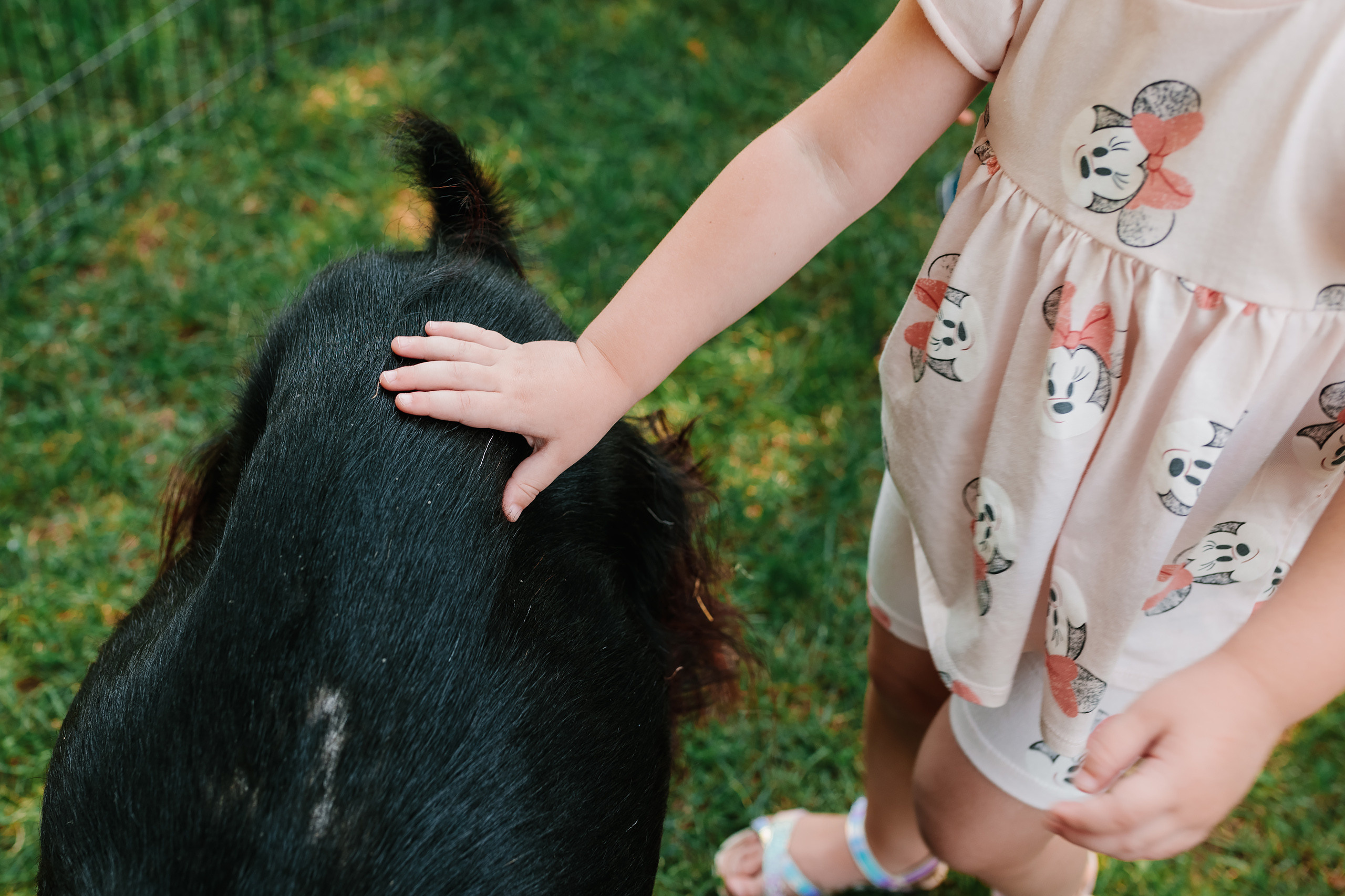 07.23.2022 First birthday. Wedding family event photographer in Chicago Nick Yushevich