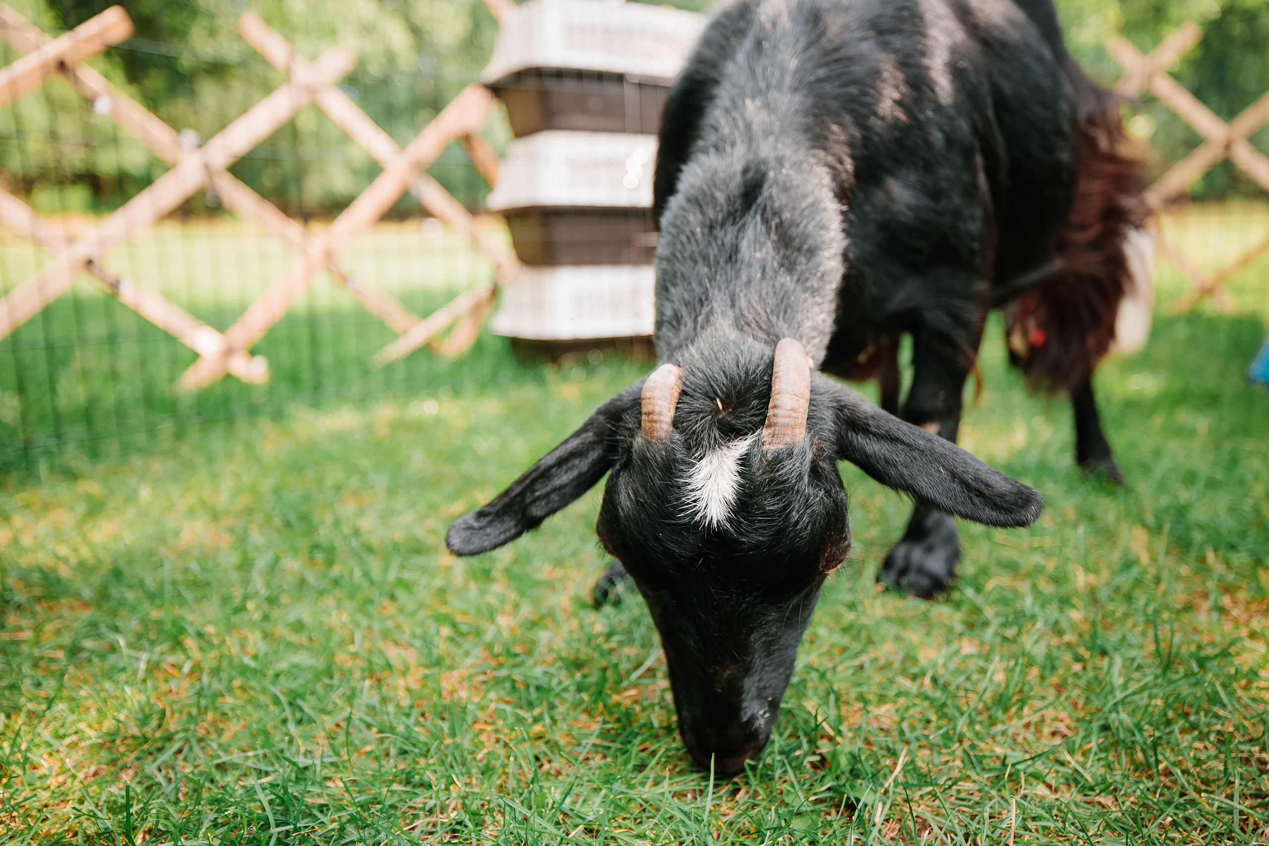 07.23.2022 First birthday. Wedding family event photographer in Chicago Nick Yushevich