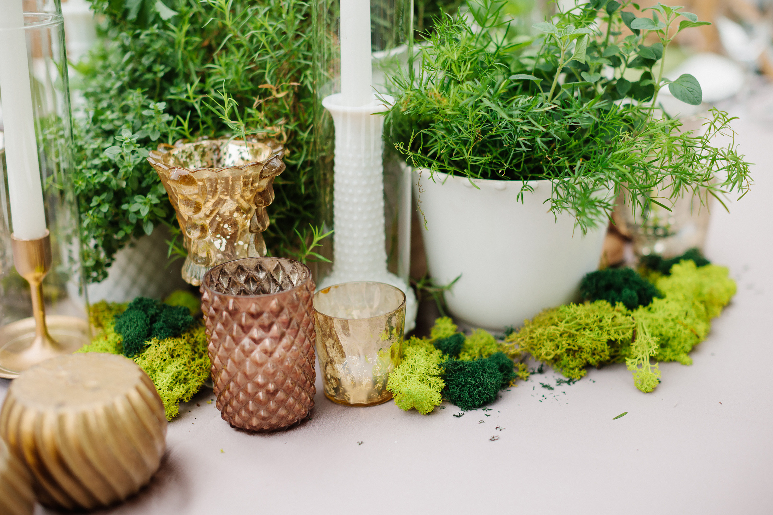 06.04.22 Graduation Party. Wedding family event photographer in Chicago Nick Yushevich