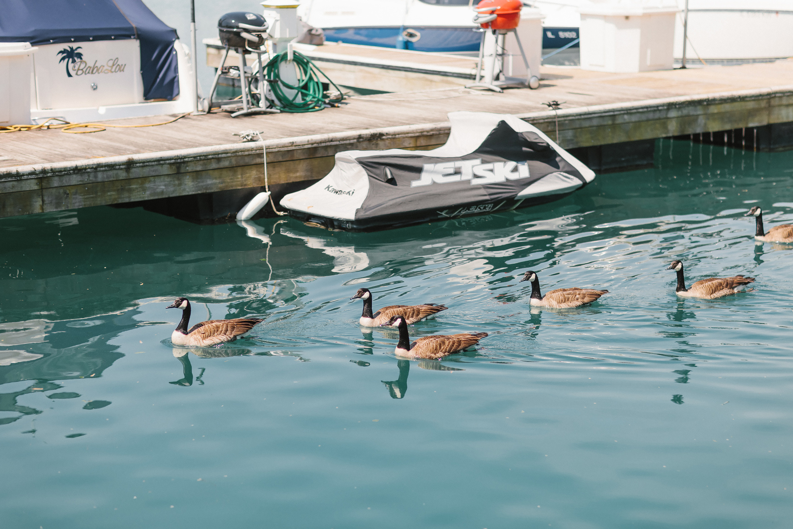 28.05.22 Family Photoshoot and Christening. Wedding family event photographer in Chicago Nick Yushevich