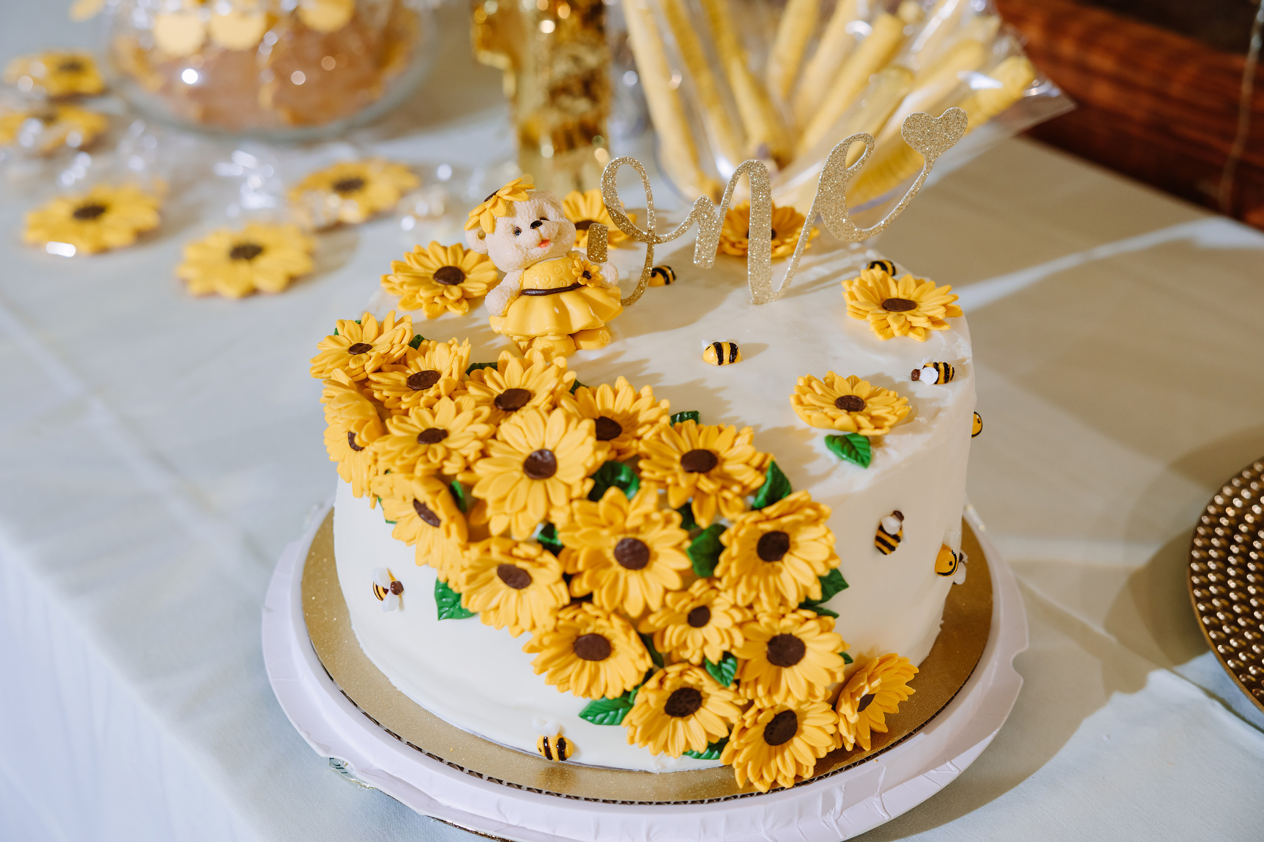 07.10.2022 First birthday. Wedding family event photographer in Chicago Nick Yushevich