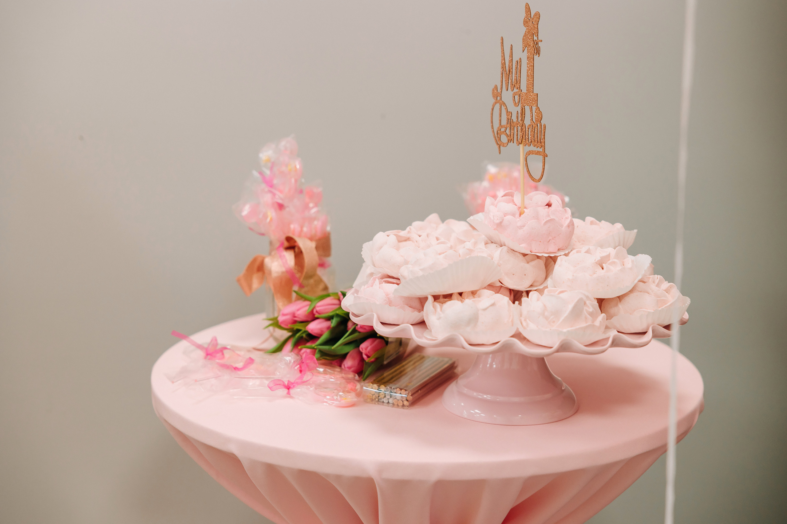 05.08.2022 First birthday. Wedding family event photographer in Chicago Nick Yushevich