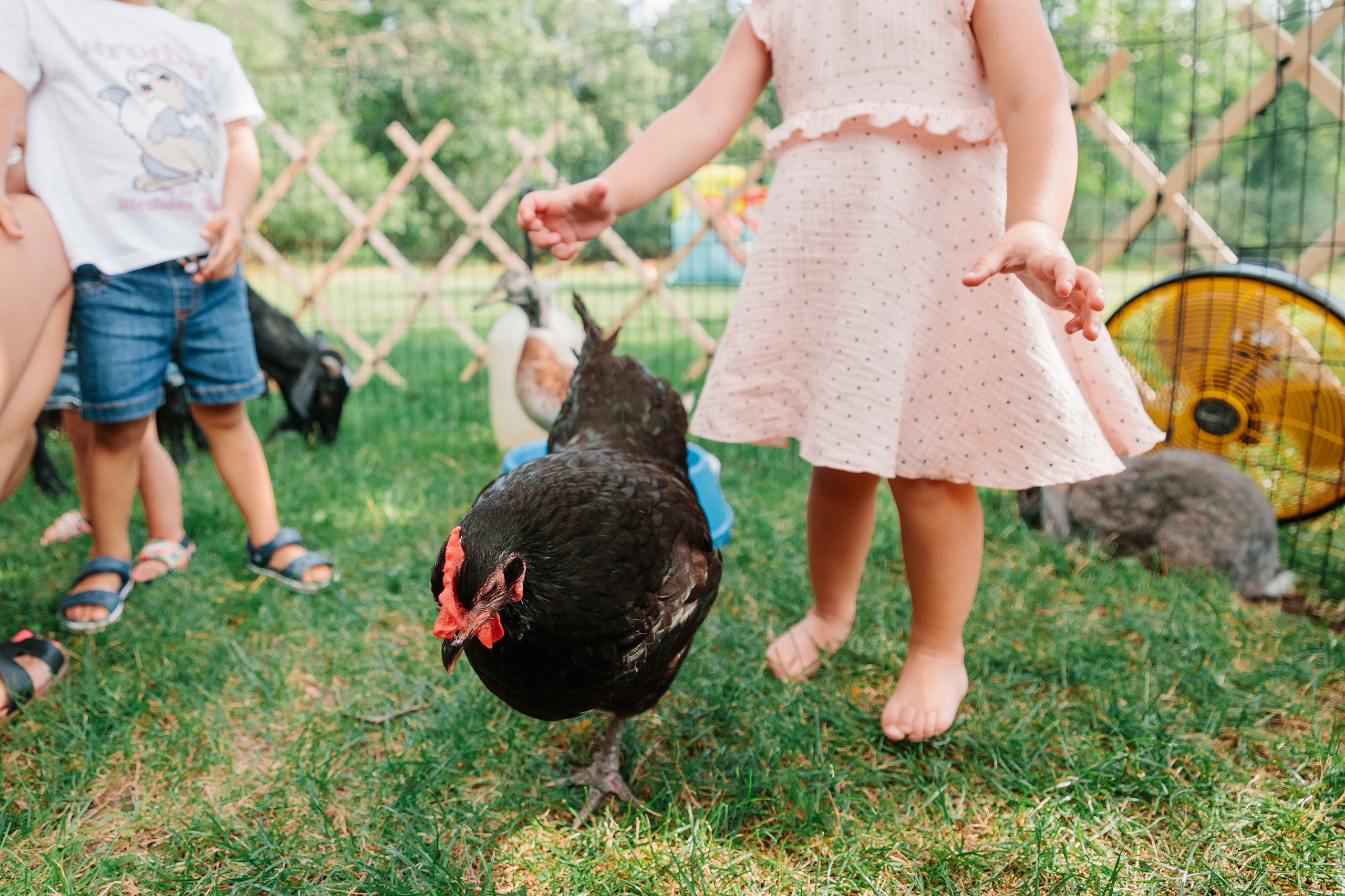 07.23.2022 First birthday. Wedding family event photographer in Chicago Nick Yushevich