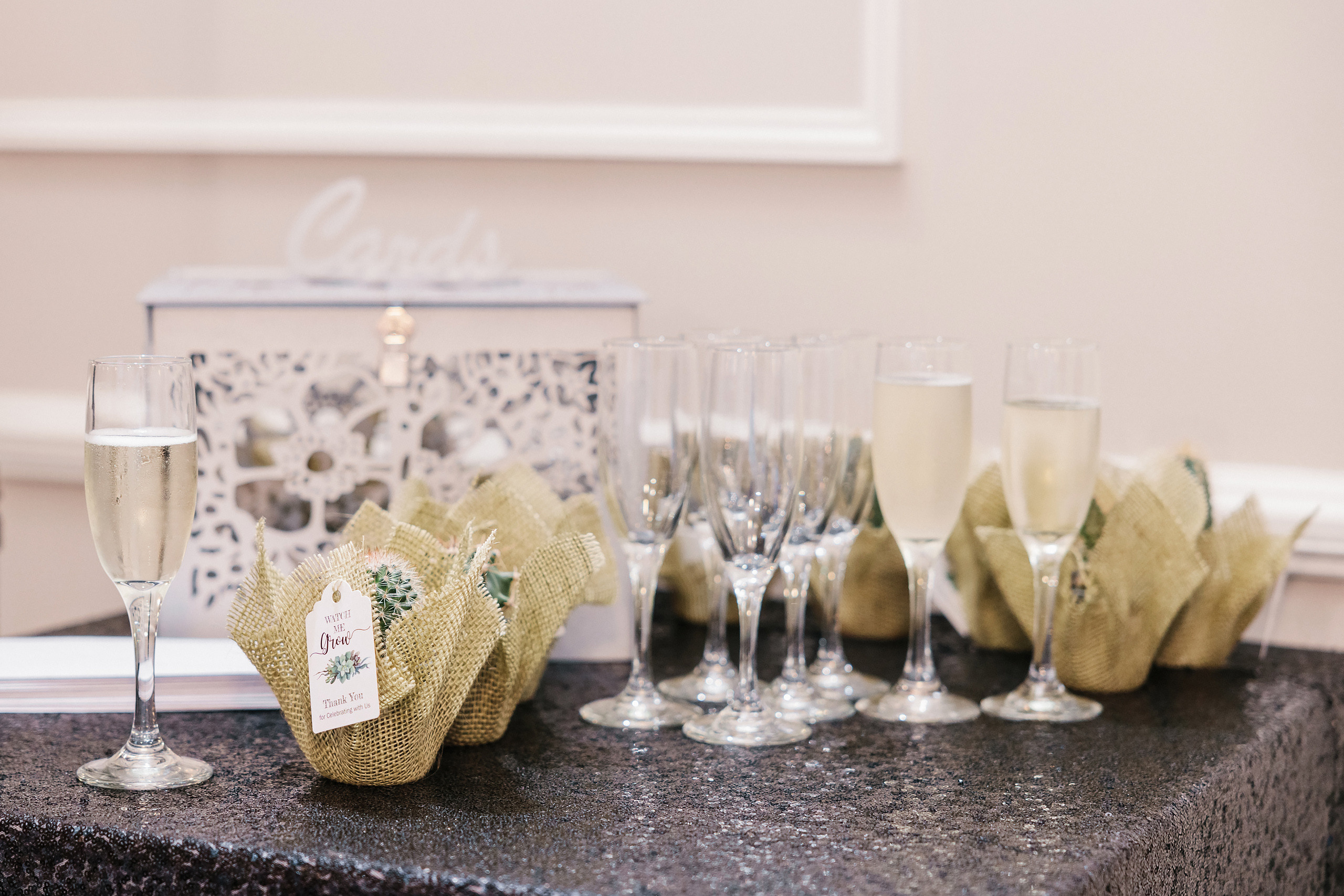 07.02.2022 Christening. Wedding family event photographer in Chicago Nick Yushevich