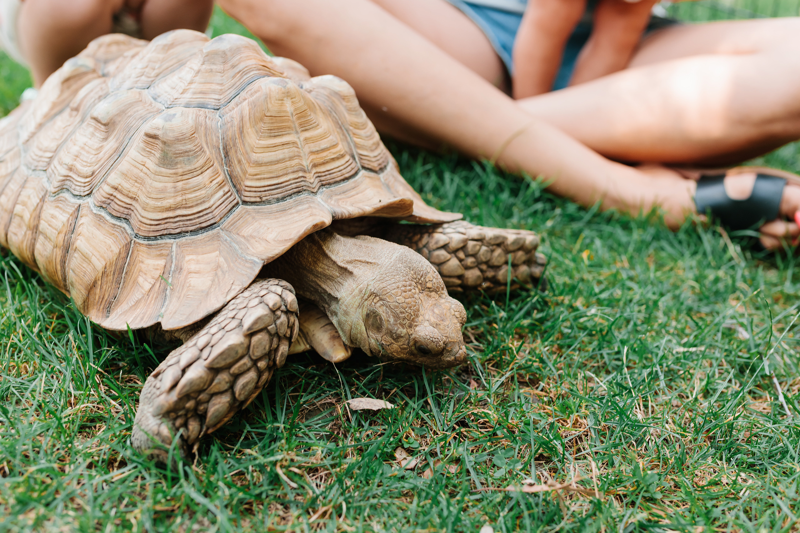 07.23.2022 First birthday. Wedding family event photographer in Chicago Nick Yushevich