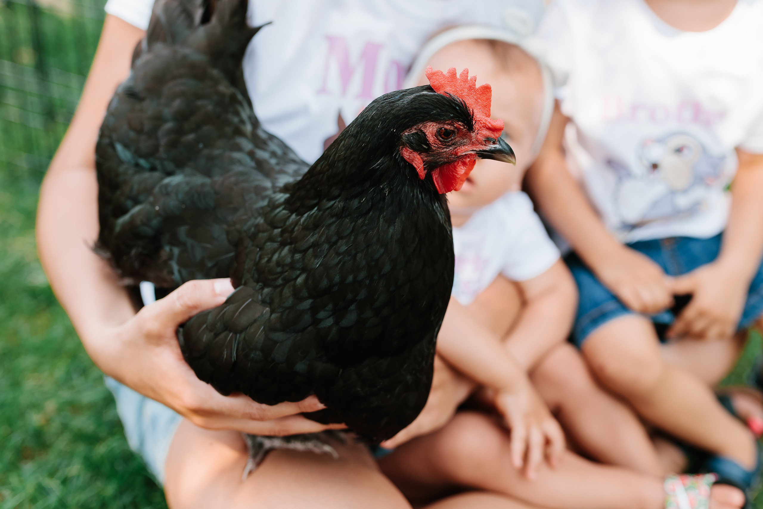 07.23.2022 First birthday. Wedding family event photographer in Chicago Nick Yushevich