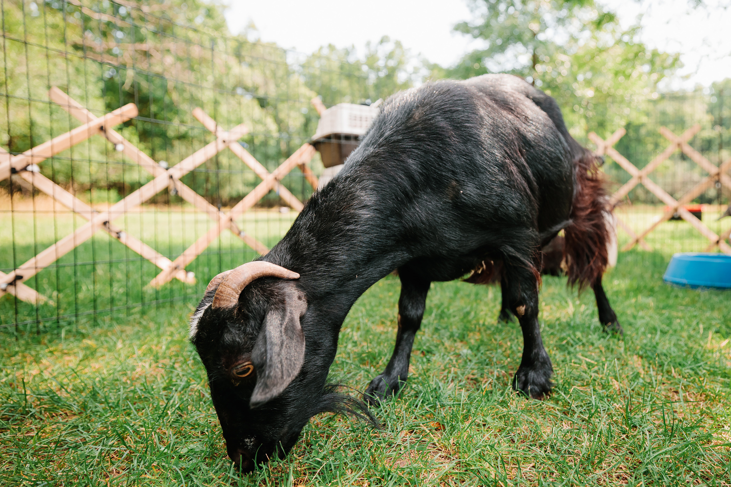 07.23.2022 First birthday. Wedding family event photographer in Chicago Nick Yushevich