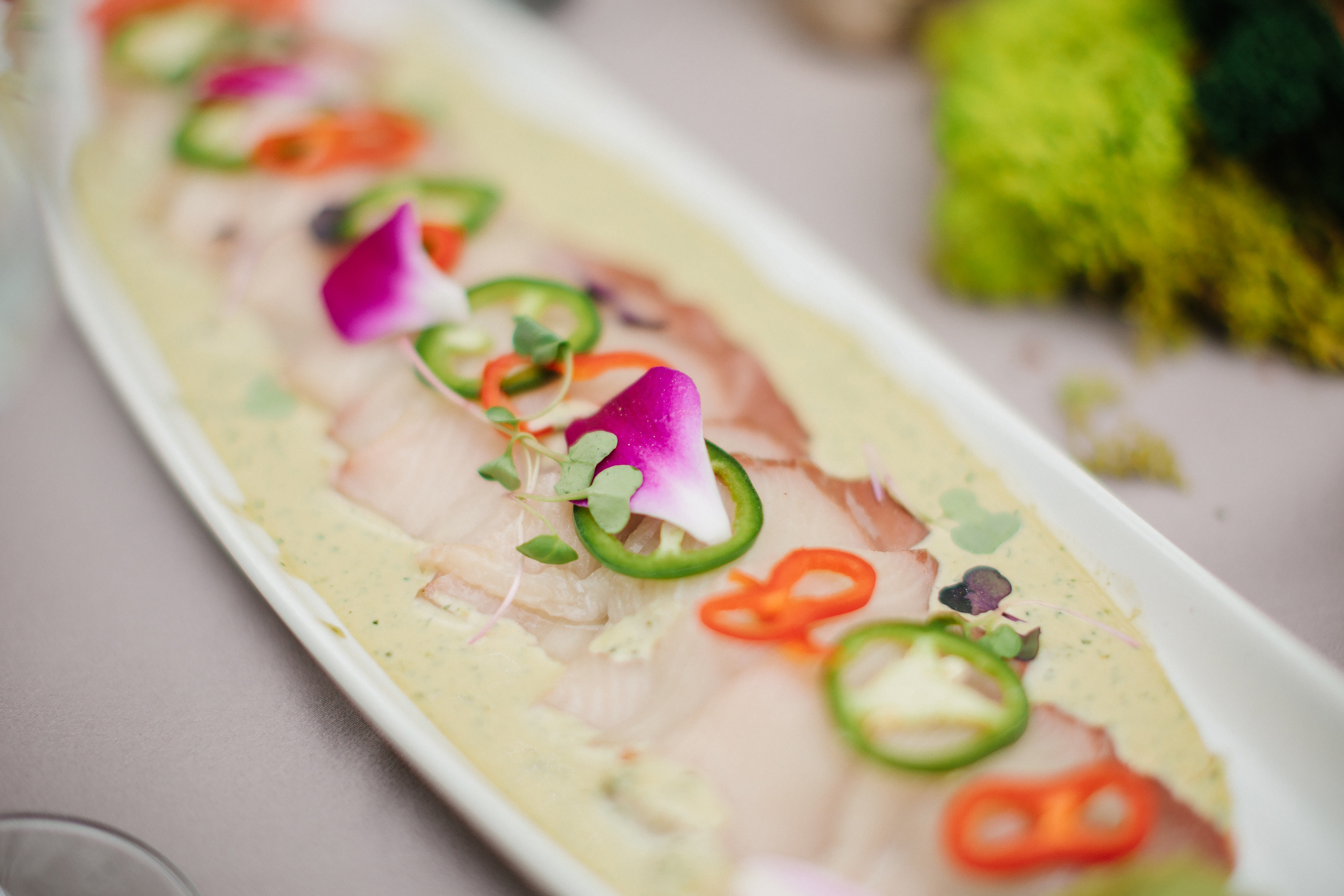 06.04.22 Graduation Party. Wedding family event photographer in Chicago Nick Yushevich