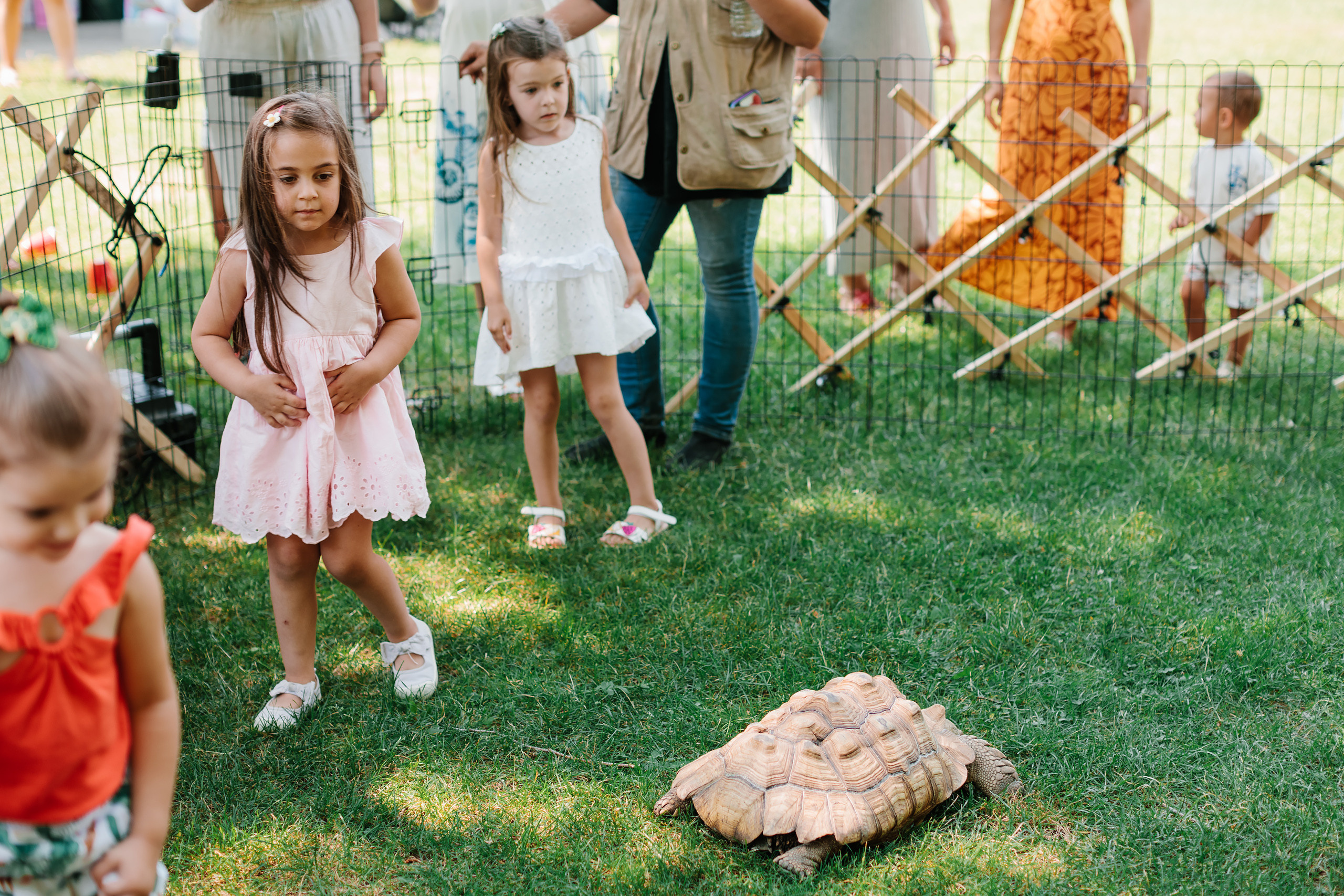 07.23.2022 First birthday. Wedding family event photographer in Chicago Nick Yushevich