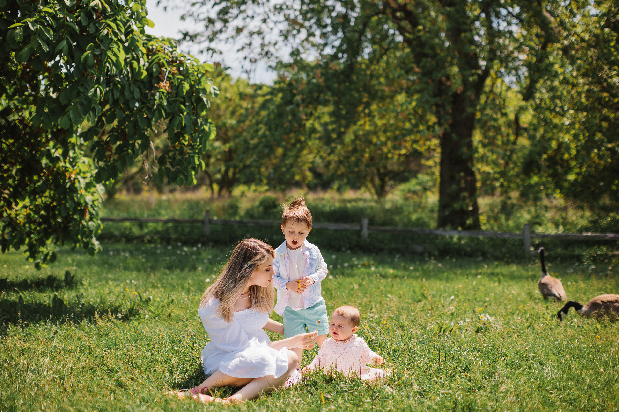28.05.22 Family Photoshoot and Christening. Wedding family event photographer in Chicago Nick Yushevich