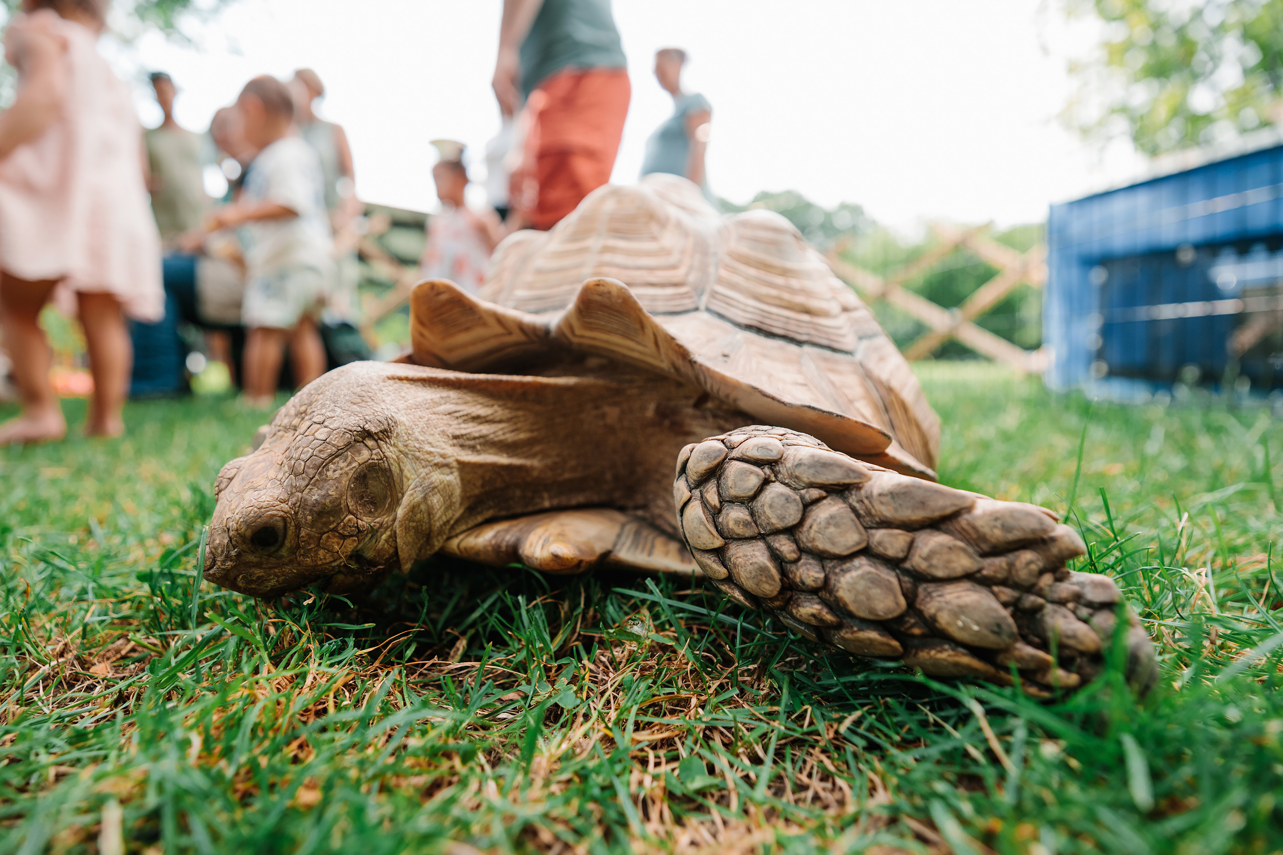 07.23.2022 First birthday. Wedding family event photographer in Chicago Nick Yushevich