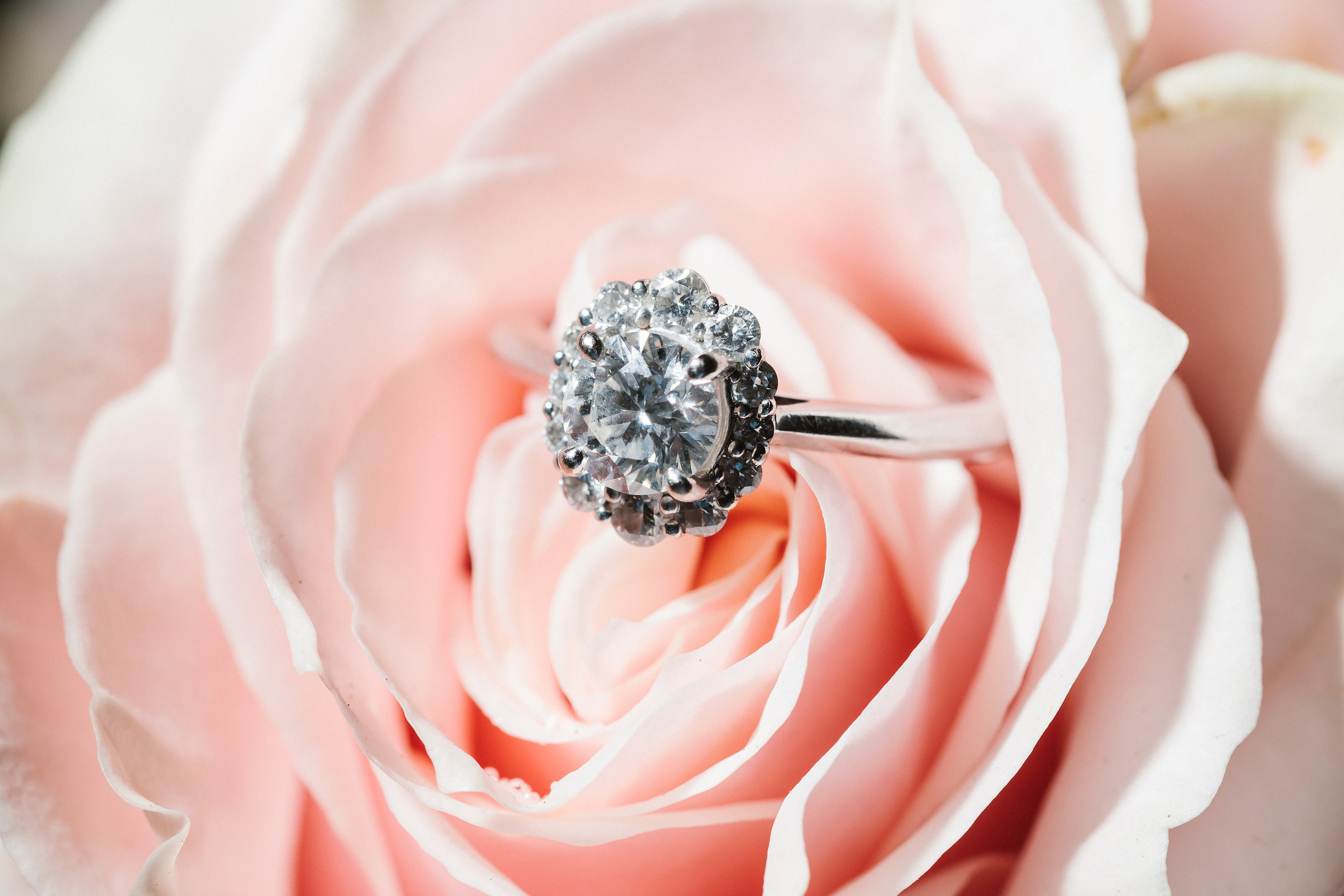 Vasilii & Samantha 04.30.2022. Wedding family event photographer in Chicago Nick Yushevich