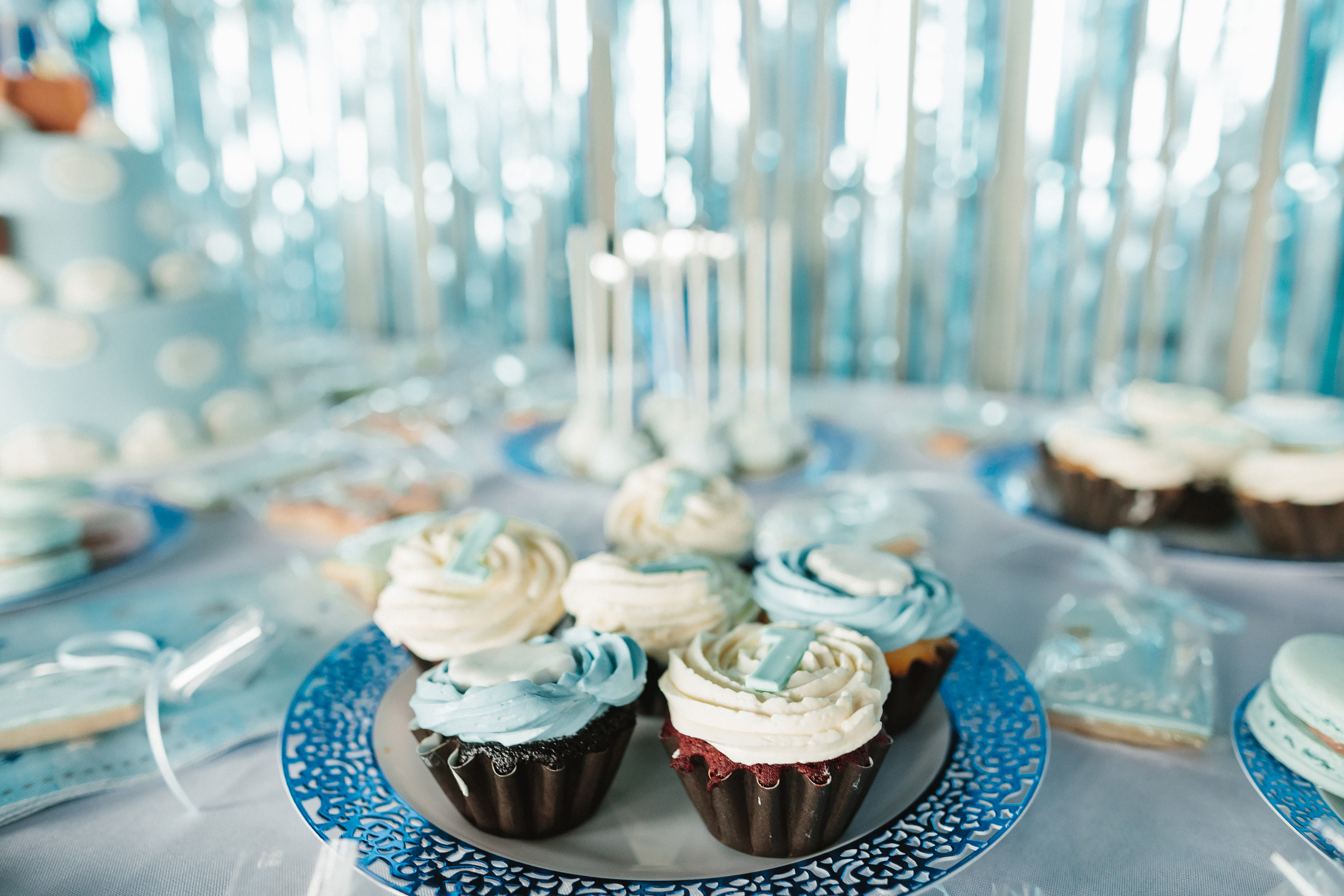 06.11.2022 First birthday. Wedding family event photographer in Chicago Nick Yushevich