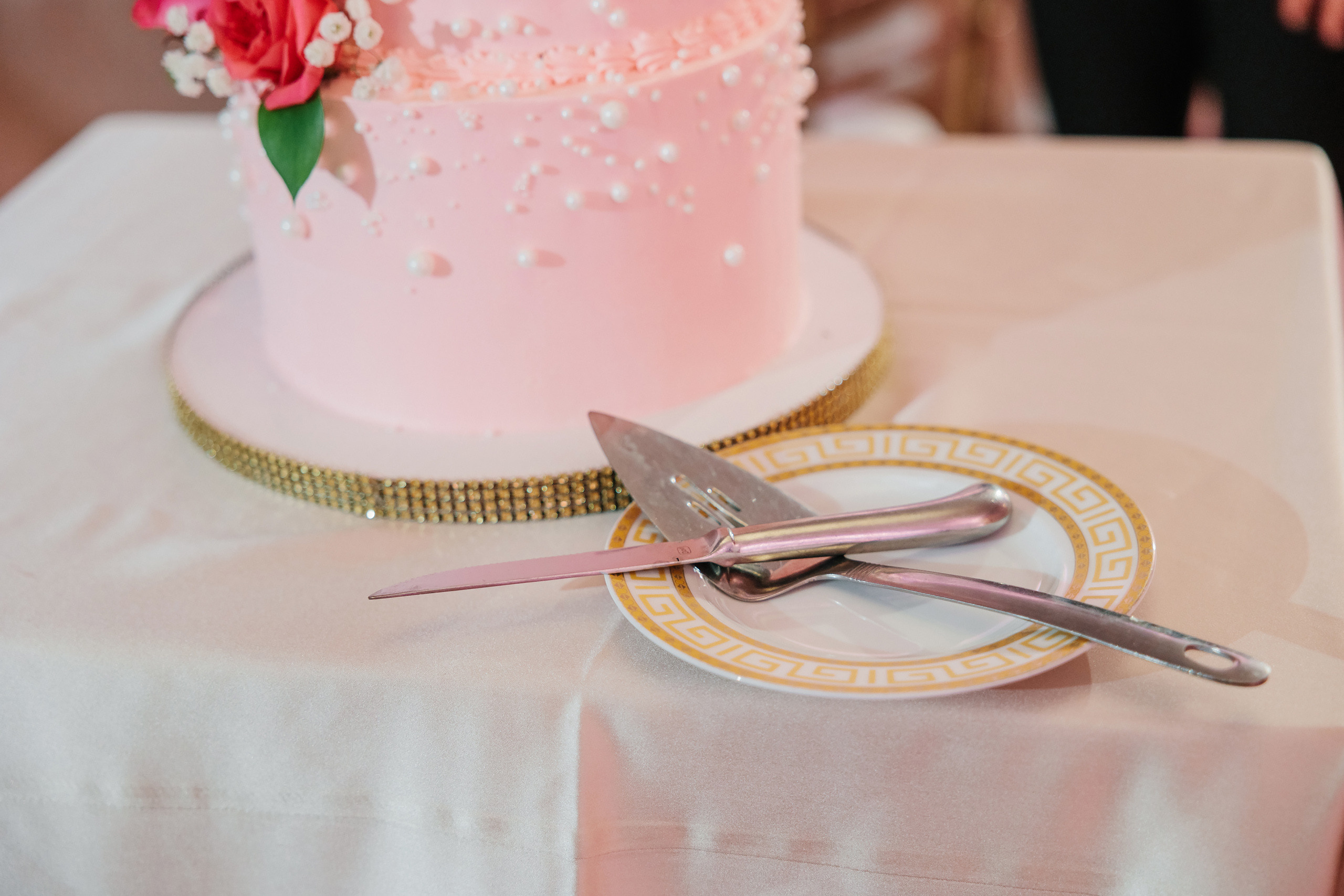 06.11.2022 Anniversary Party. Wedding family event photographer in Chicago Nick Yushevich