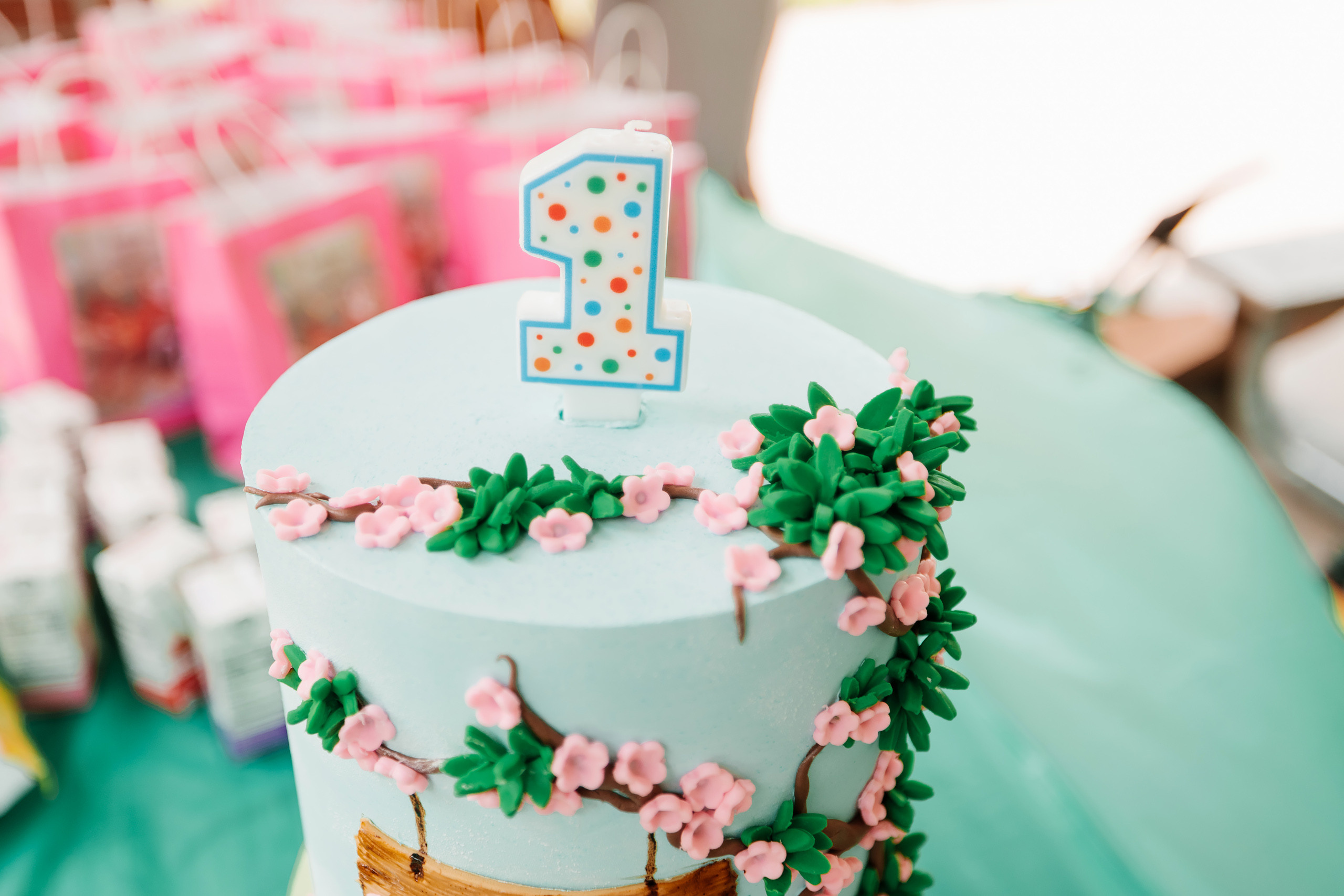 07.23.2022 First birthday. Wedding family event photographer in Chicago Nick Yushevich