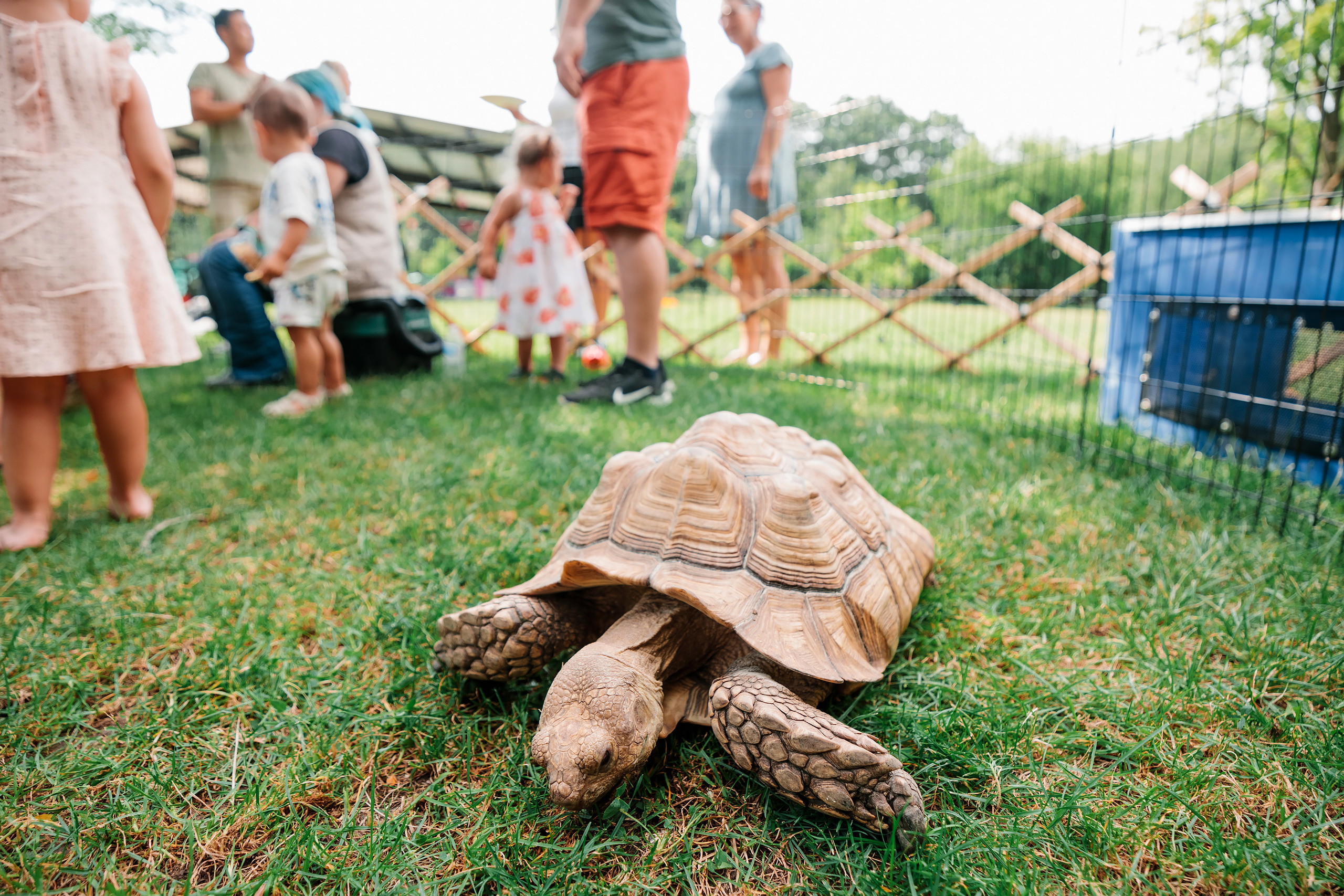 07.23.2022 First birthday. Wedding family event photographer in Chicago Nick Yushevich