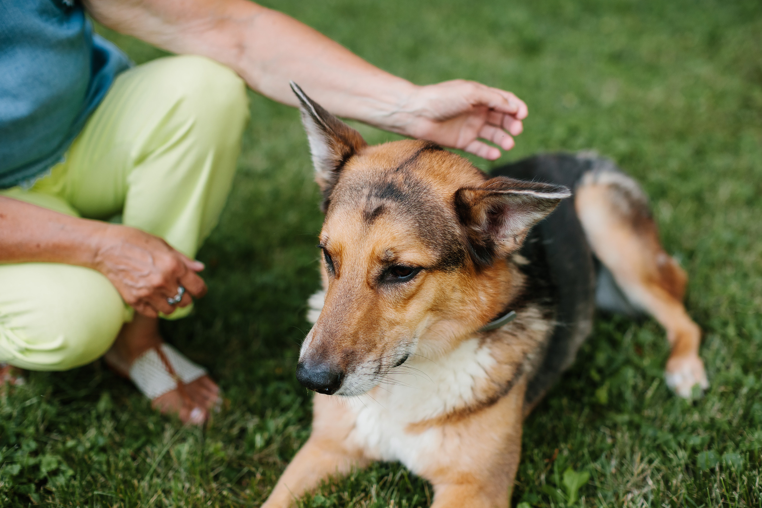 07.29.22 Family Photoshoot. Wedding family event photographer in Chicago Nick Yushevich