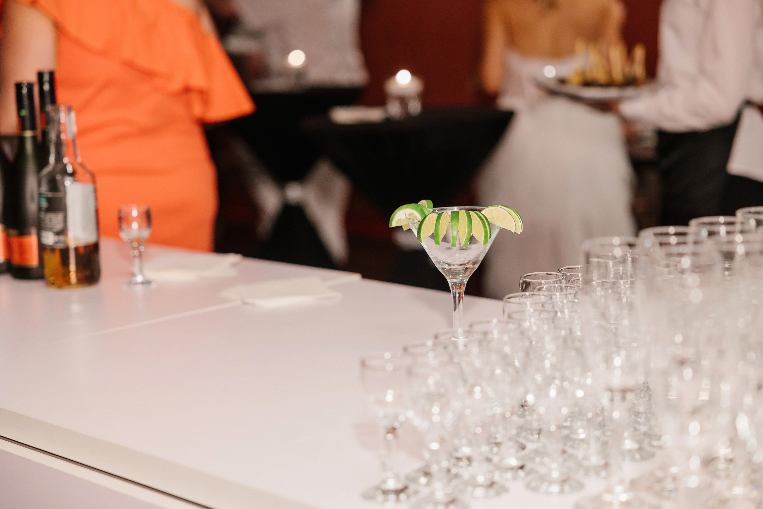 06.11.2022 Anniversary Party. Wedding family event photographer in Chicago Nick Yushevich