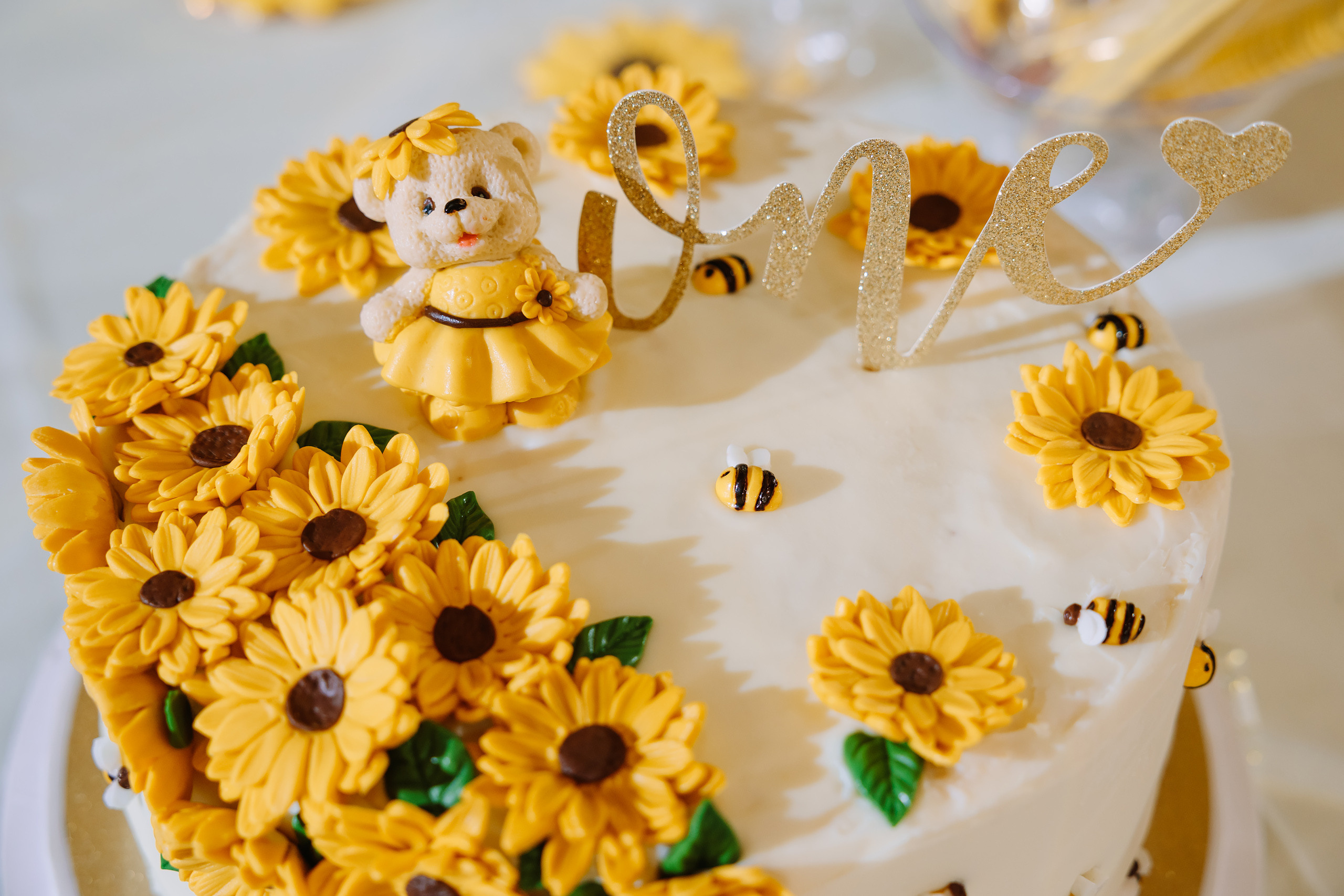 07.10.2022 First birthday. Wedding family event photographer in Chicago Nick Yushevich