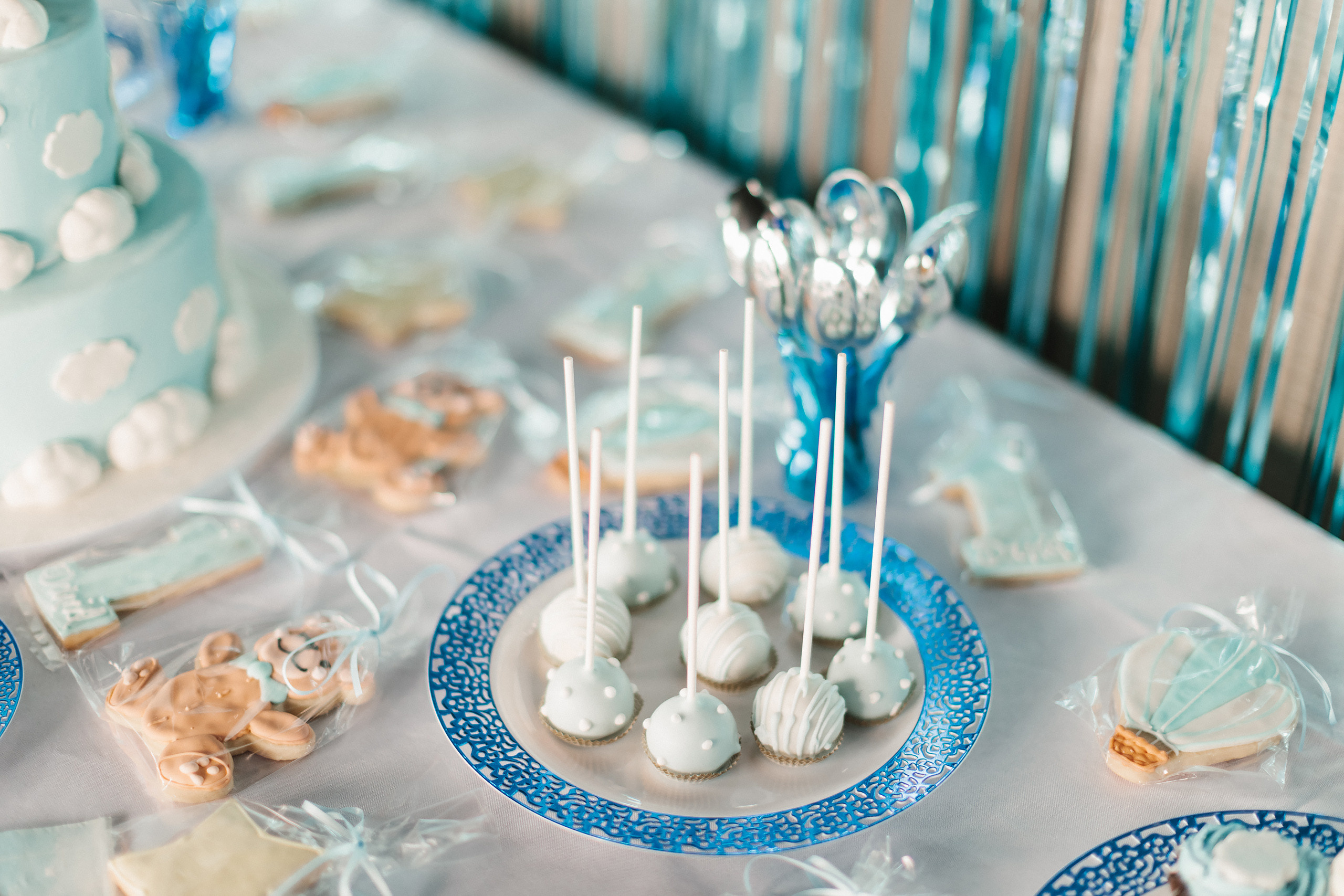 06.11.2022 First birthday. Wedding family event photographer in Chicago Nick Yushevich