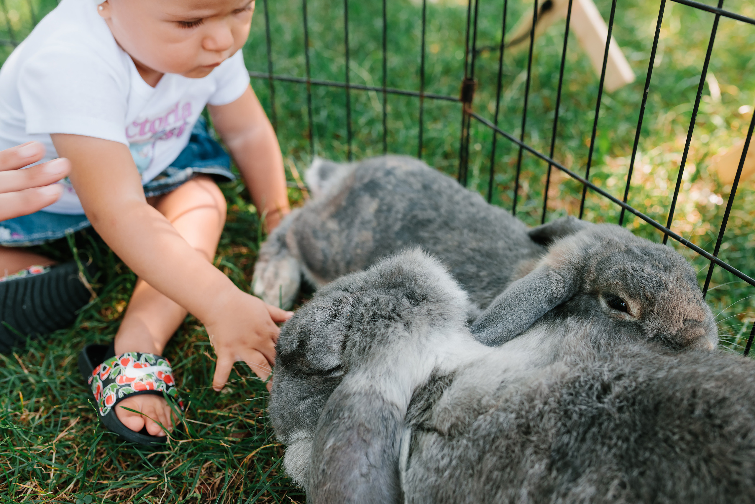 07.23.2022 First birthday. Wedding family event photographer in Chicago Nick Yushevich