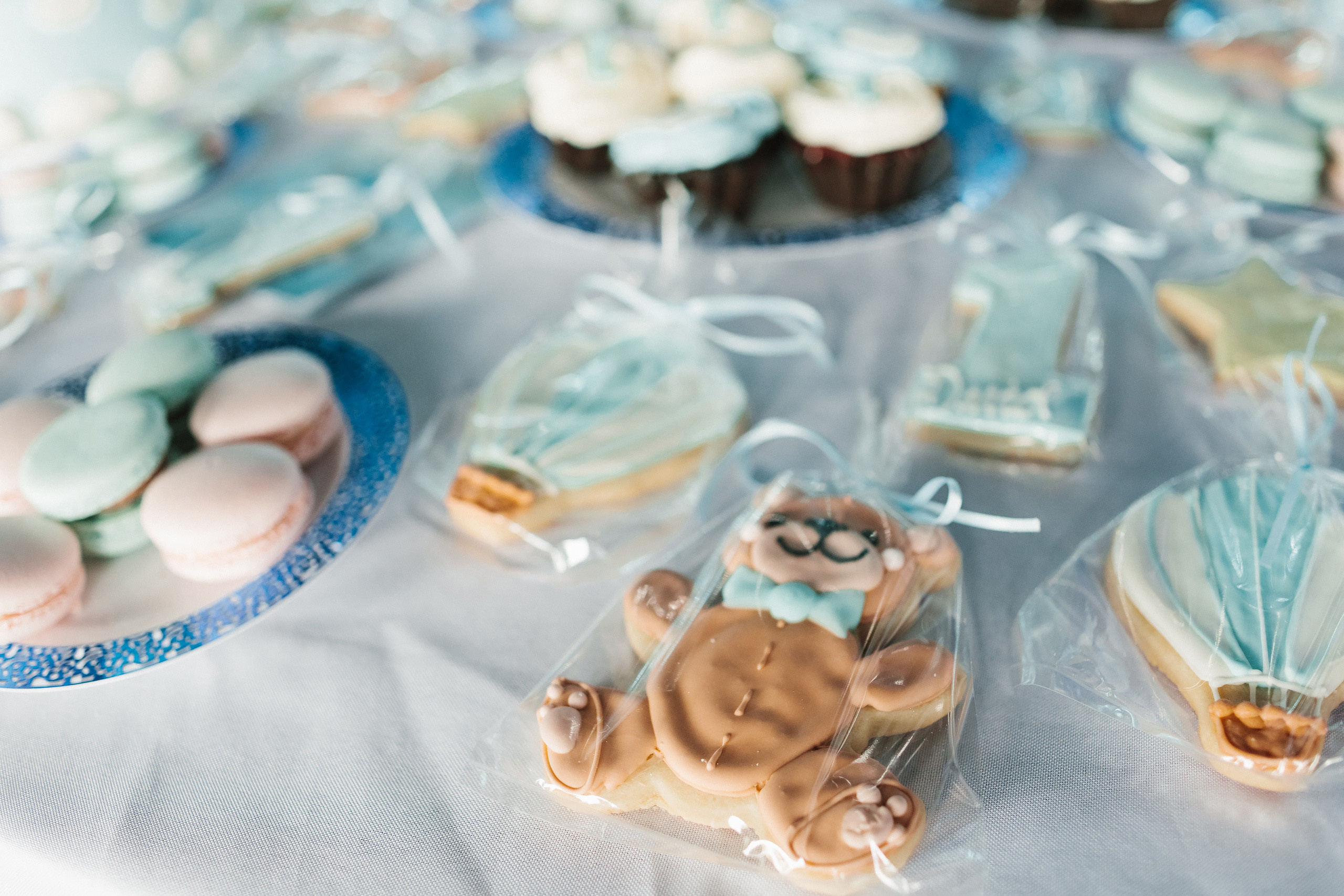 06.11.2022 First birthday. Wedding family event photographer in Chicago Nick Yushevich