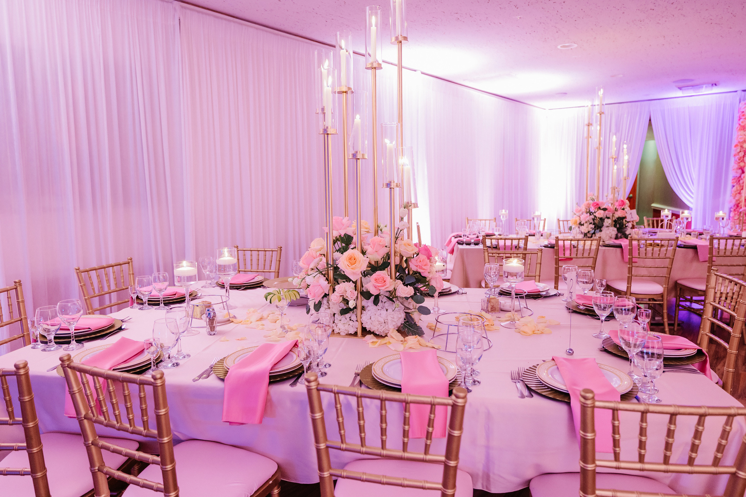 06.11.2022 Anniversary Party. Wedding family event photographer in Chicago Nick Yushevich