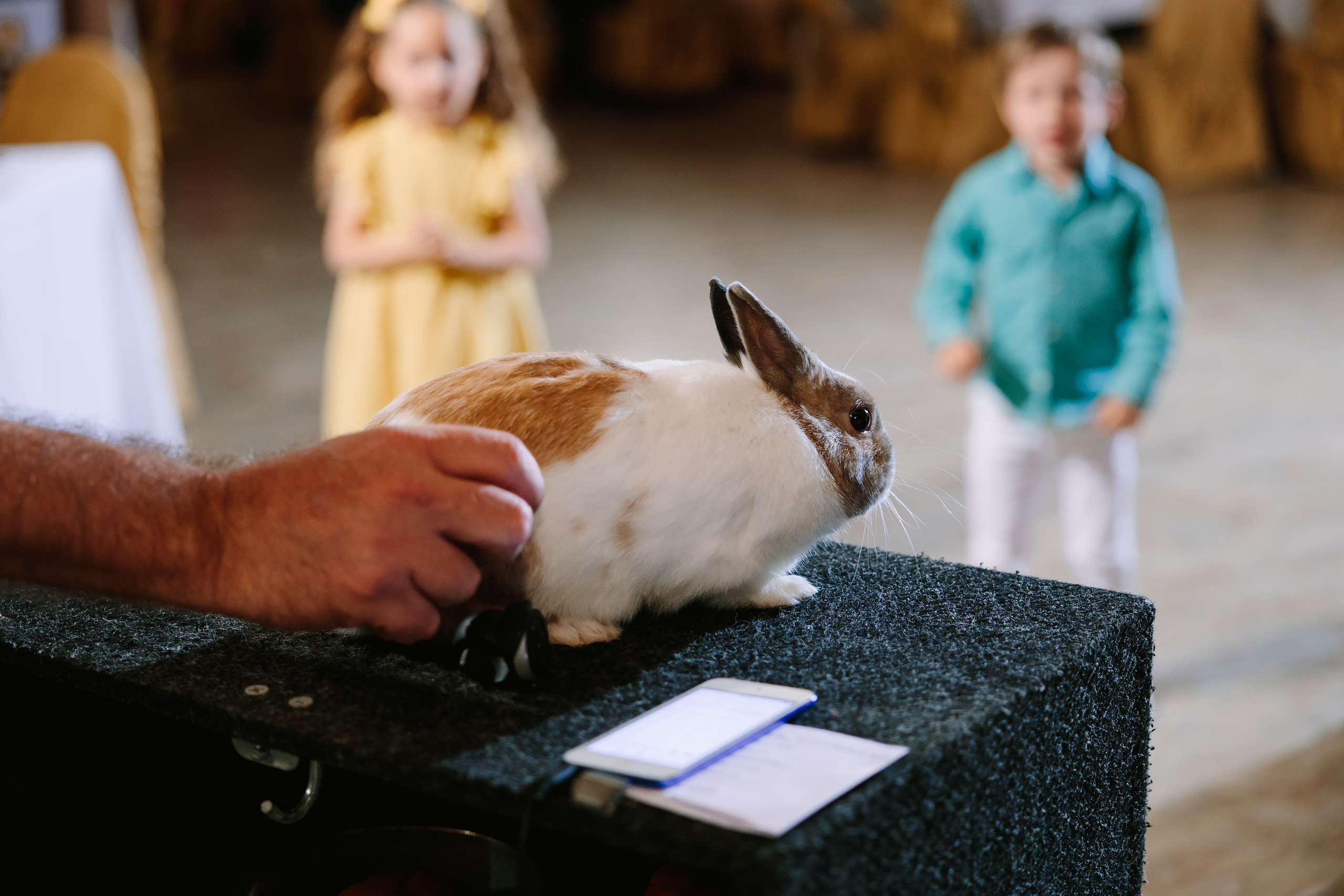 07.10.2022 First birthday. Wedding family event photographer in Chicago Nick Yushevich